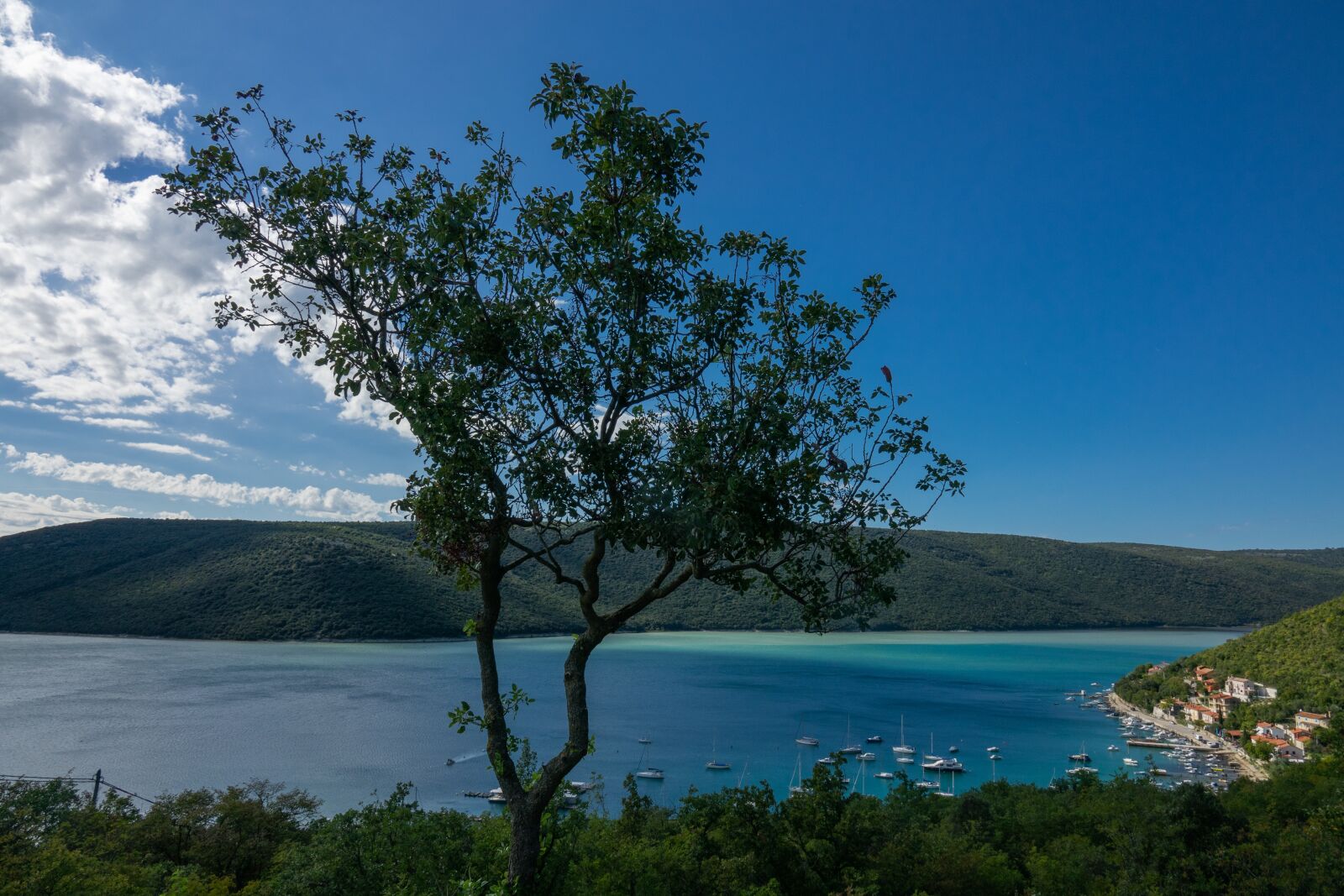Sony Cyber-shot DSC-RX10 III sample photo. Tree, sea, sky photography