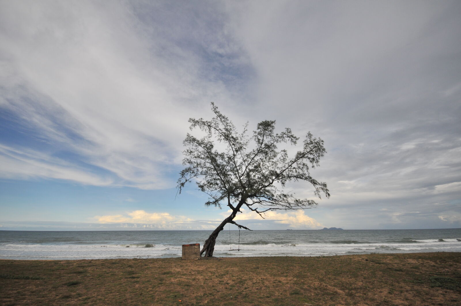 Nikon D300S + Sigma 10-20mm F4-5.6 EX DC HSM sample photo. Tree, on, beach, against photography