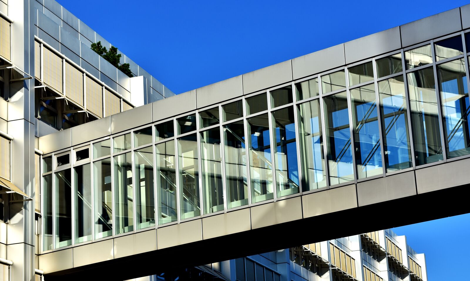 Nikon D7200 sample photo. Building, connection, architecture photography