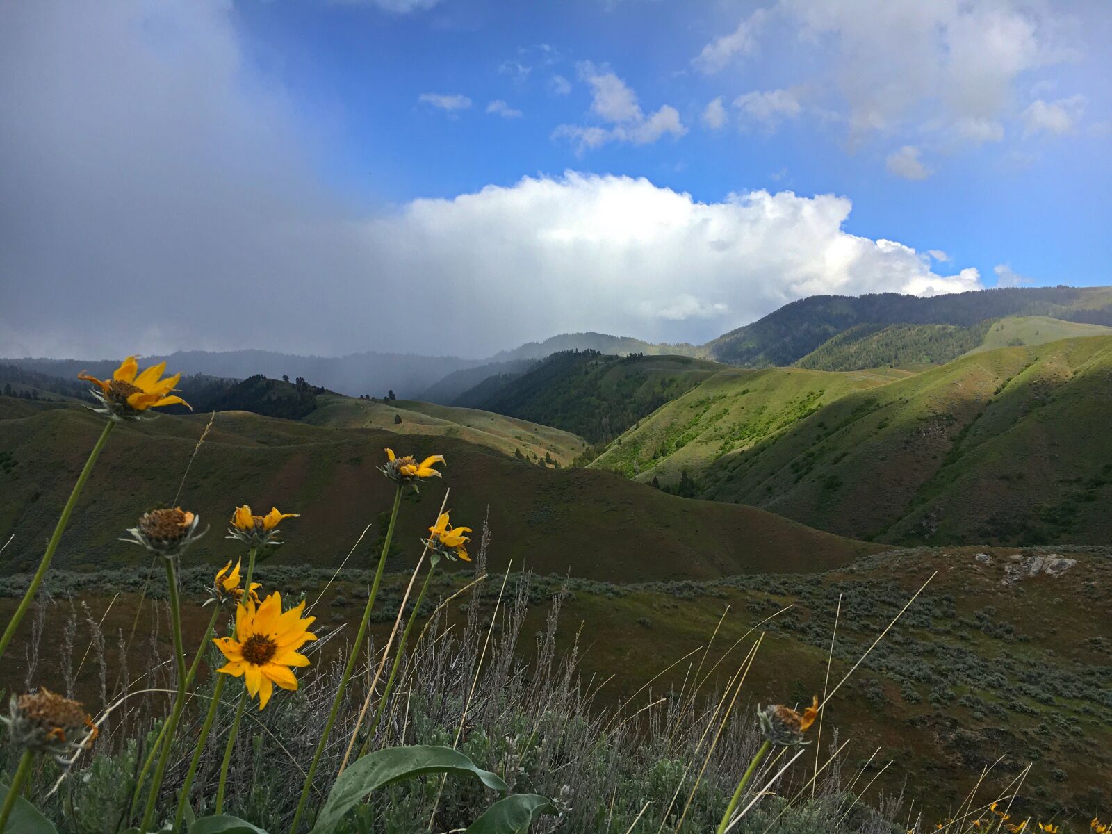 Apple iPhone 6s sample photo. Idaho, mountains, boise photography