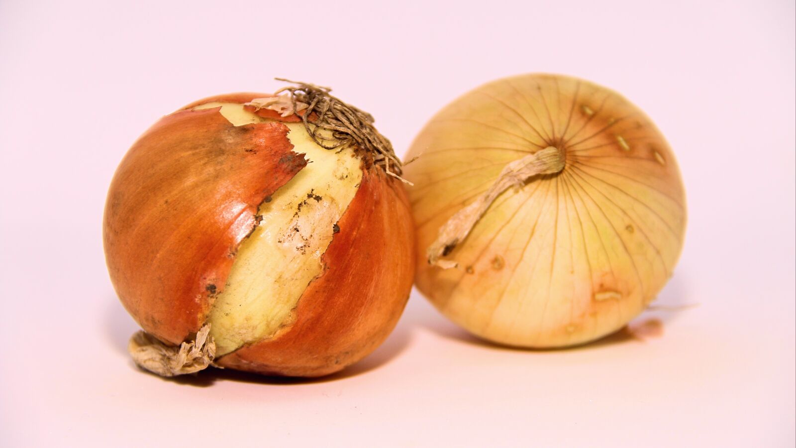 Canon EOS 1200D (EOS Rebel T5 / EOS Kiss X70 / EOS Hi) sample photo. Onion, food, vegetable photography