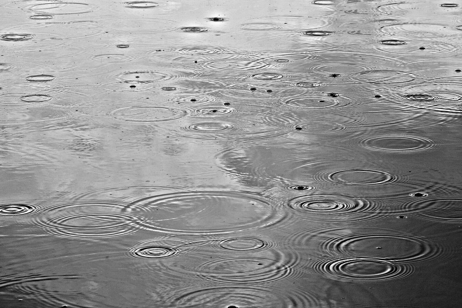 Sony Cyber-shot DSC-RX100 sample photo. Rain, rain drops, water photography