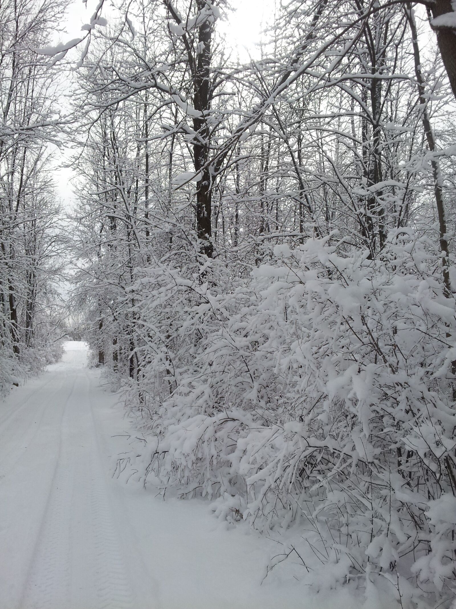Samsung Galaxy S2 Epic sample photo. Road less traveled, winter photography