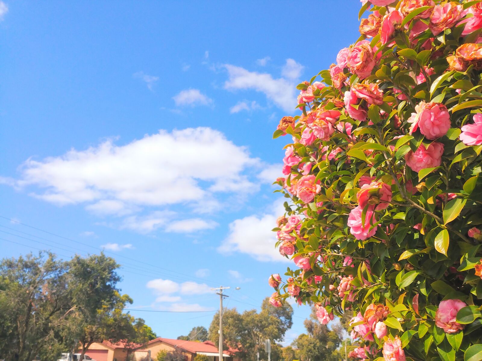 LG G6 sample photo. Sunny, clouds, nature photography