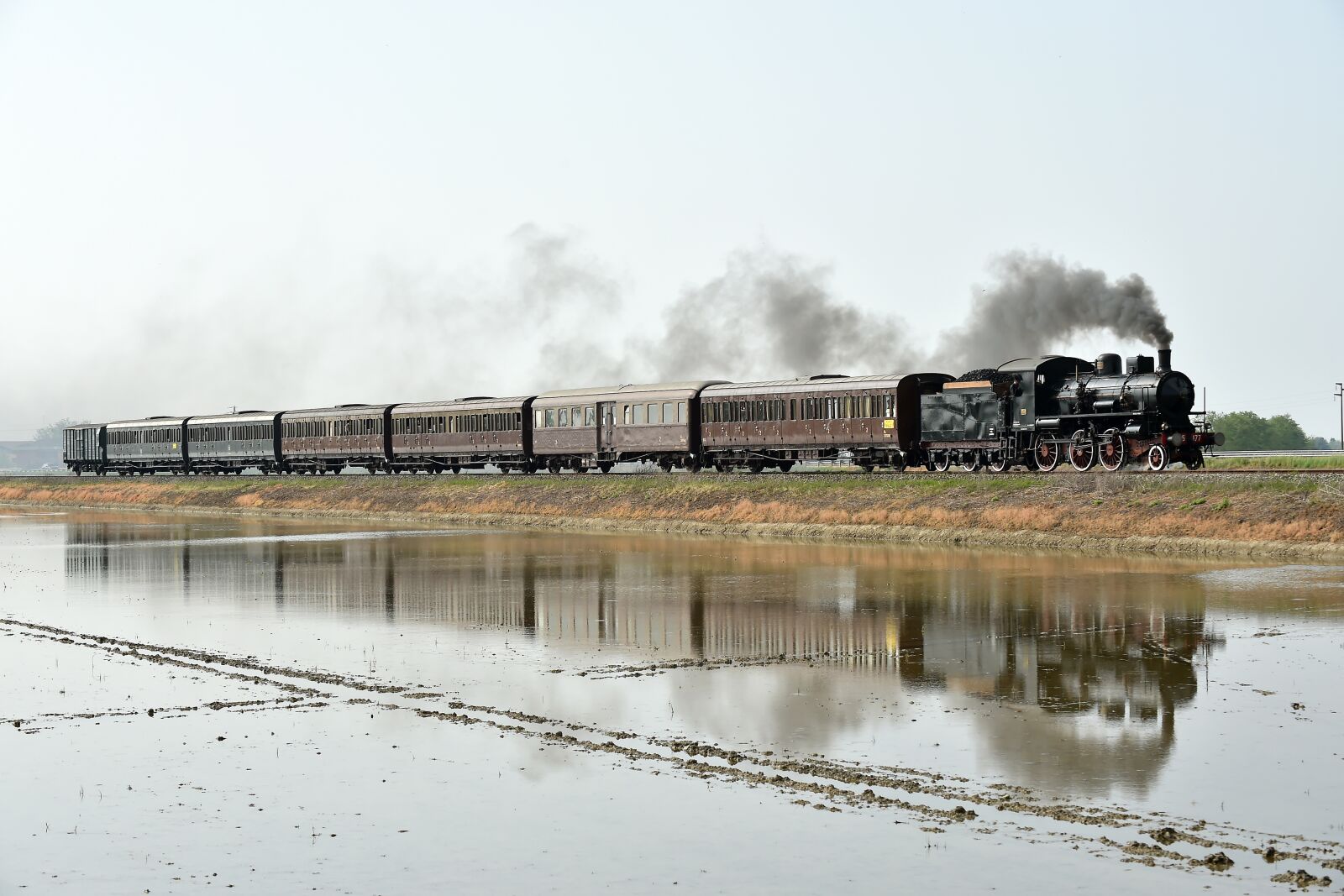 Nikon D4S sample photo. Train, paddies, locomotive photography