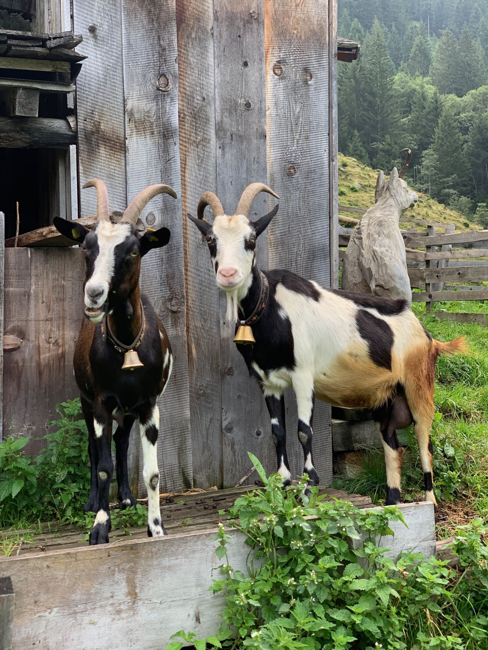 iPhone XS back dual camera 6mm f/2.4 sample photo. Mountains, alpine, landscape photography