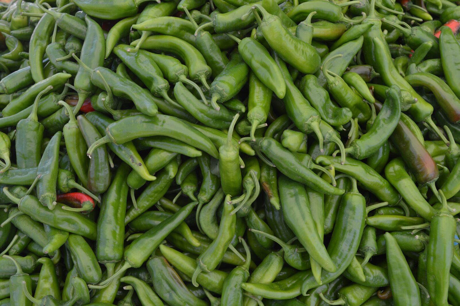 Nikon D3200 sample photo. Beans, green, food photography
