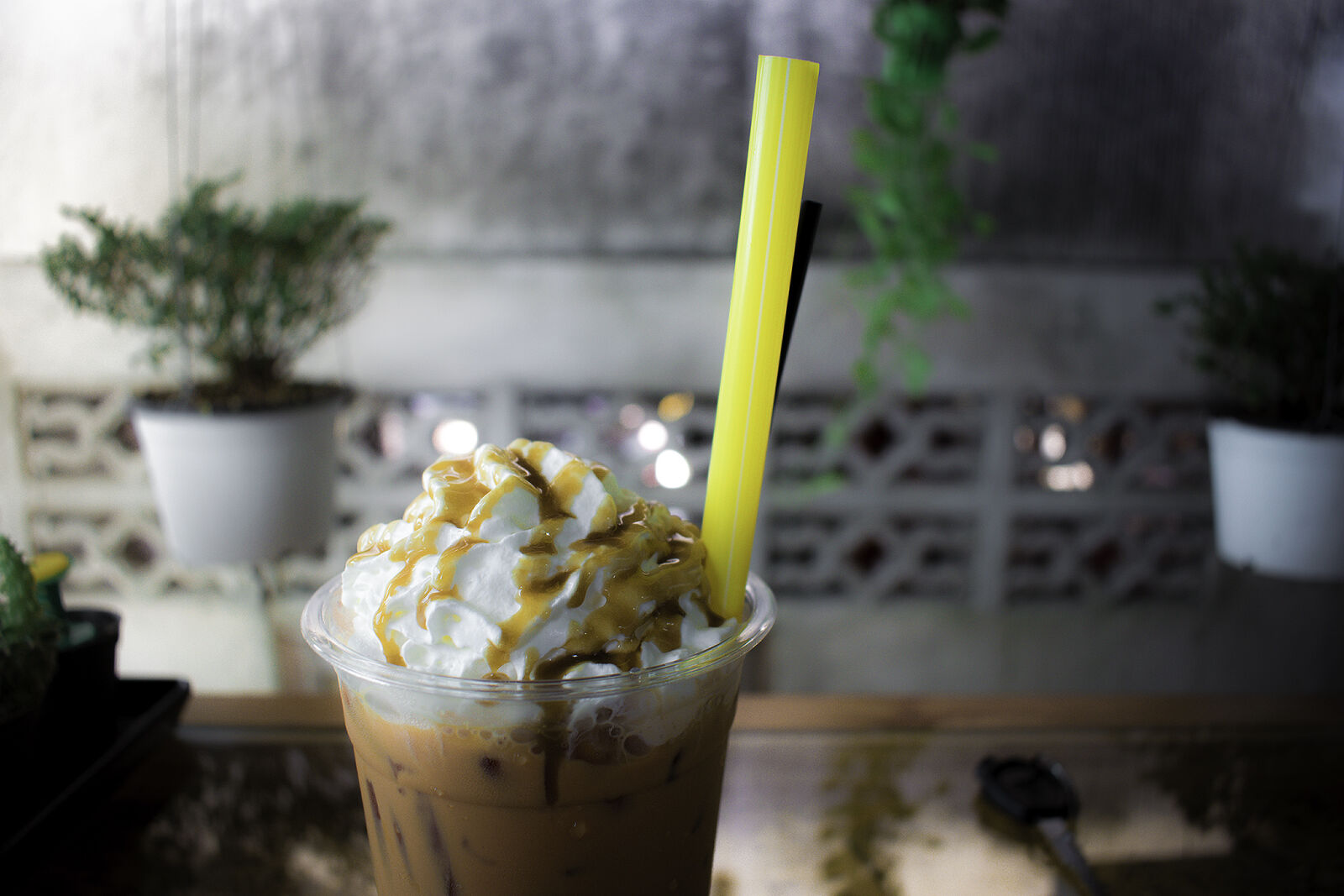 Nikon D3300 sample photo