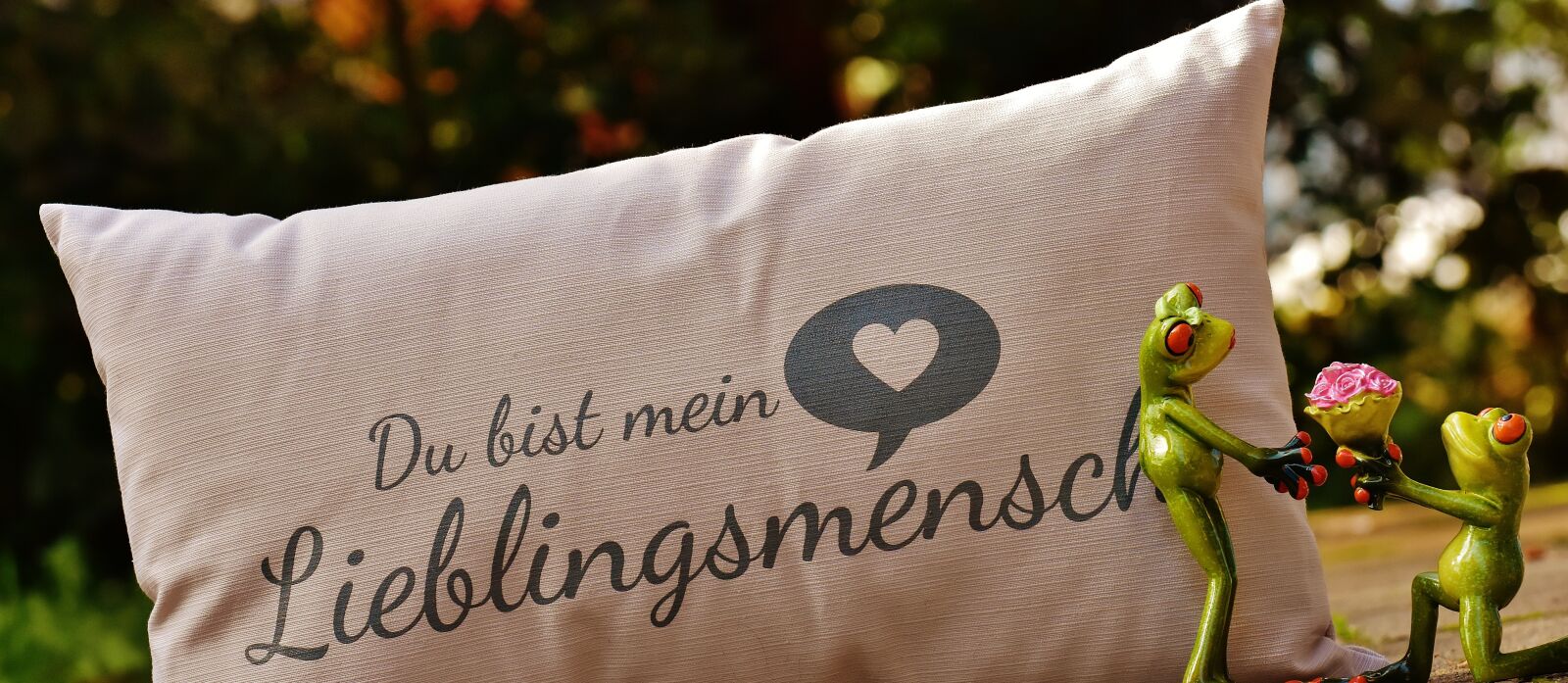 Nikon D7200 sample photo. Pillow, love, valentine's day photography