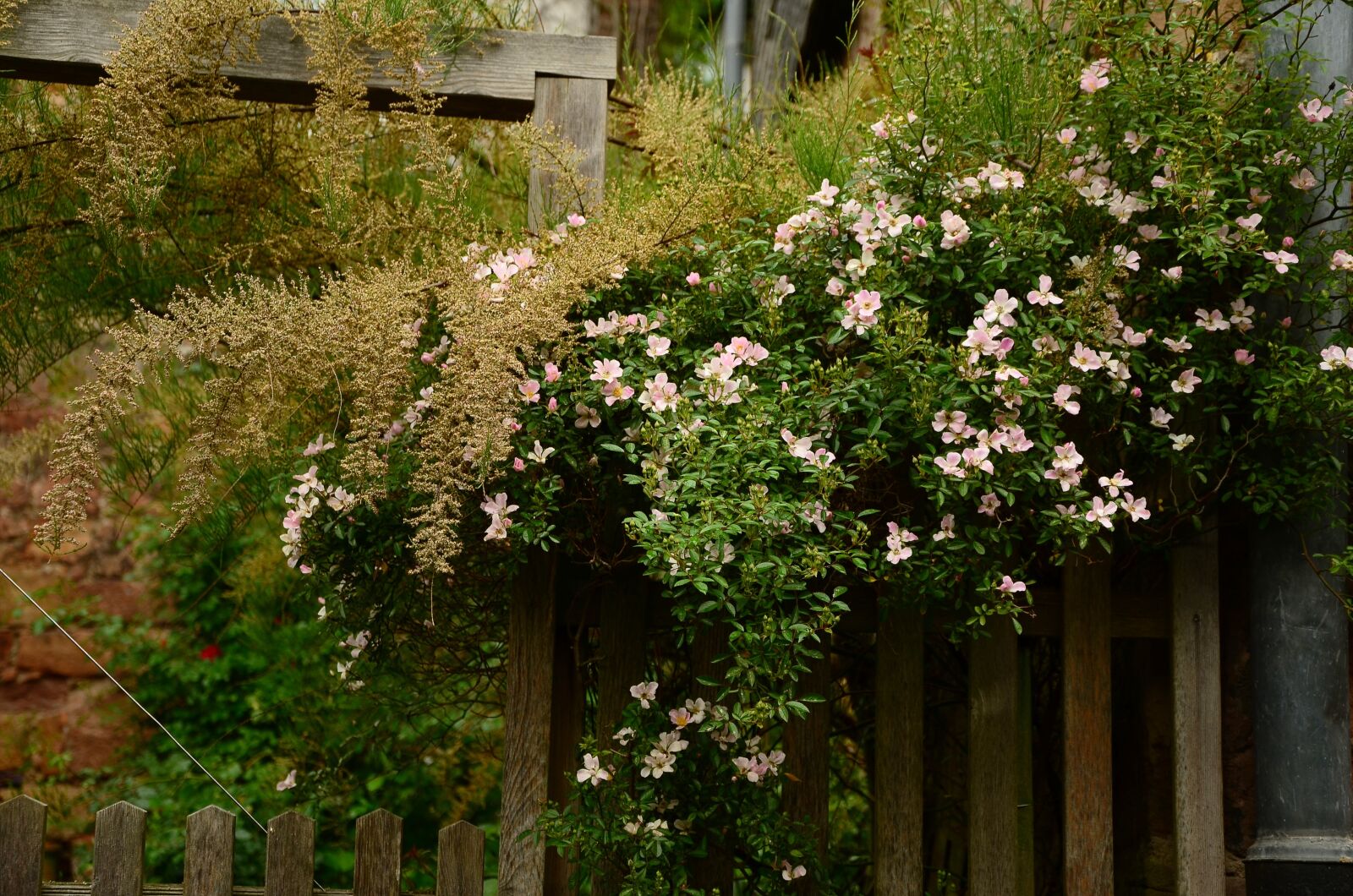 Nikon D5100 sample photo. Garden, garden fence, heck photography