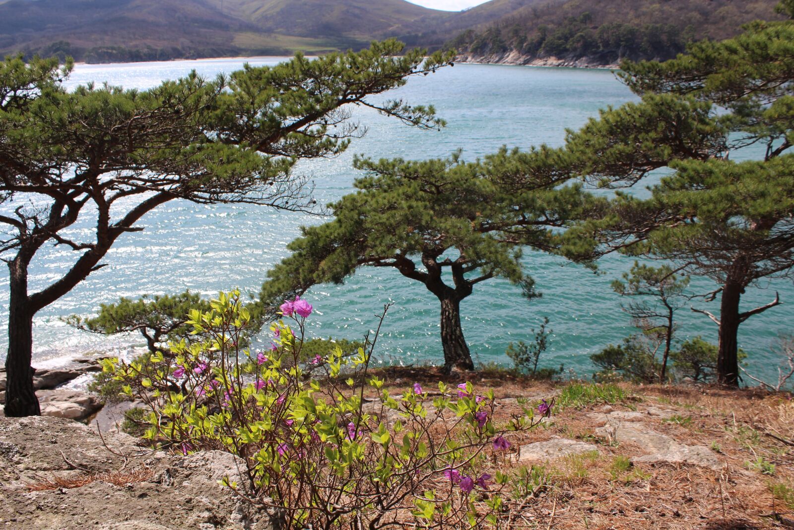 Canon EOS 650D (EOS Rebel T4i / EOS Kiss X6i) sample photo. Russia, primorsky krai, vladivostok photography