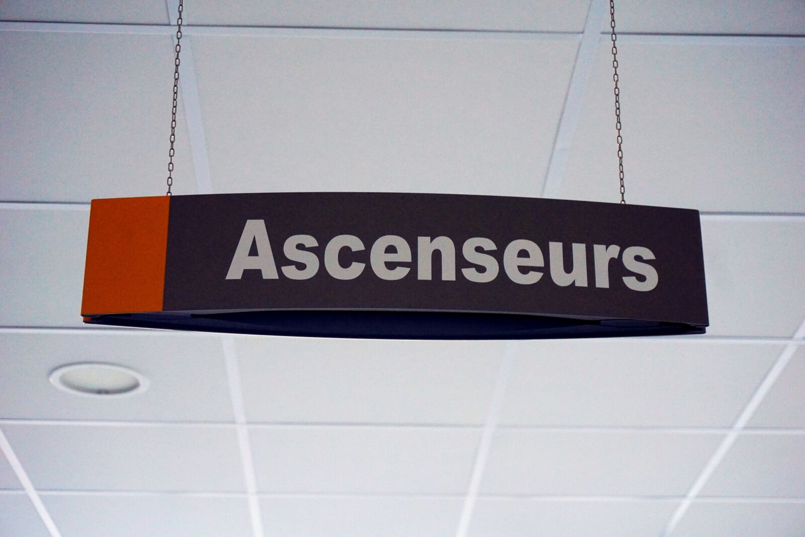 Sony a6000 sample photo. Administration, ascenseurs, pancarte, plafond photography