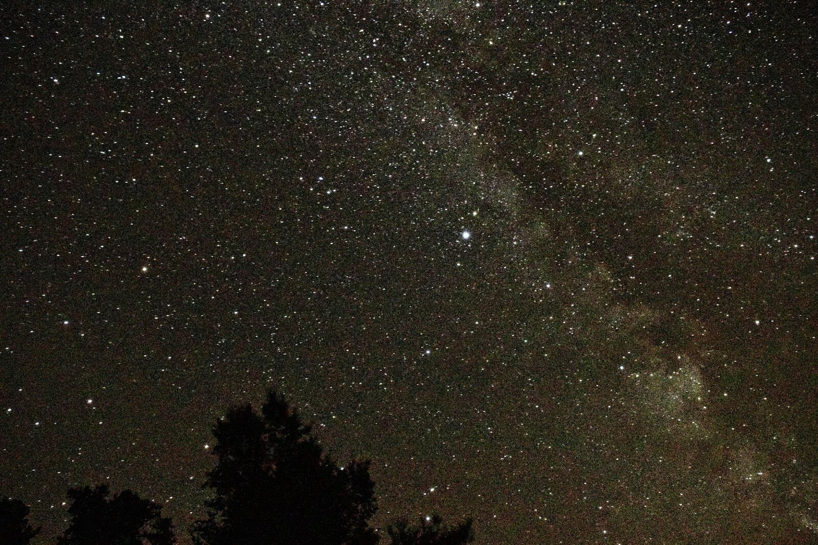 Nikon D5300 sample photo. Stars, milkyway, space photography
