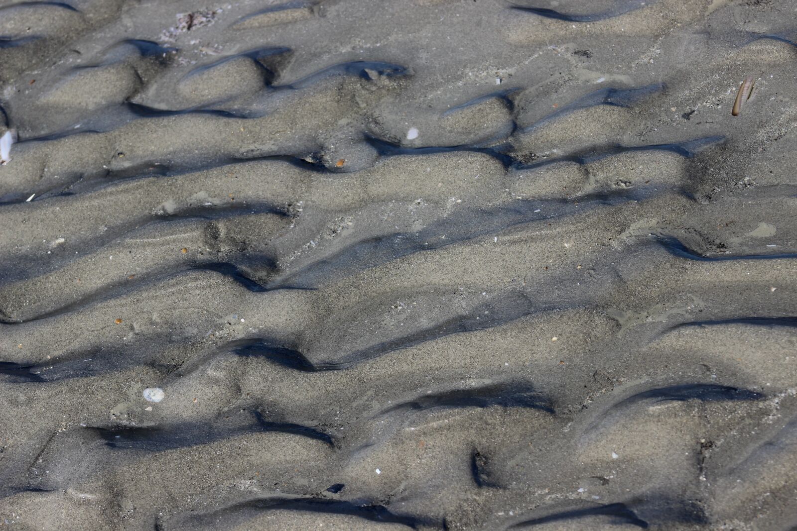 Canon EOS 600D (Rebel EOS T3i / EOS Kiss X5) sample photo. Sand, beach, sea photography