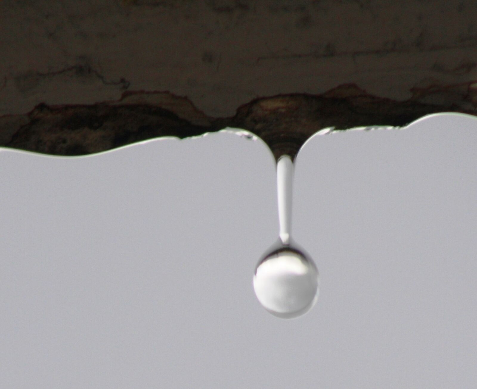 Canon EOS 1000D (EOS Digital Rebel XS / EOS Kiss F) sample photo. Drip, water, nature photography