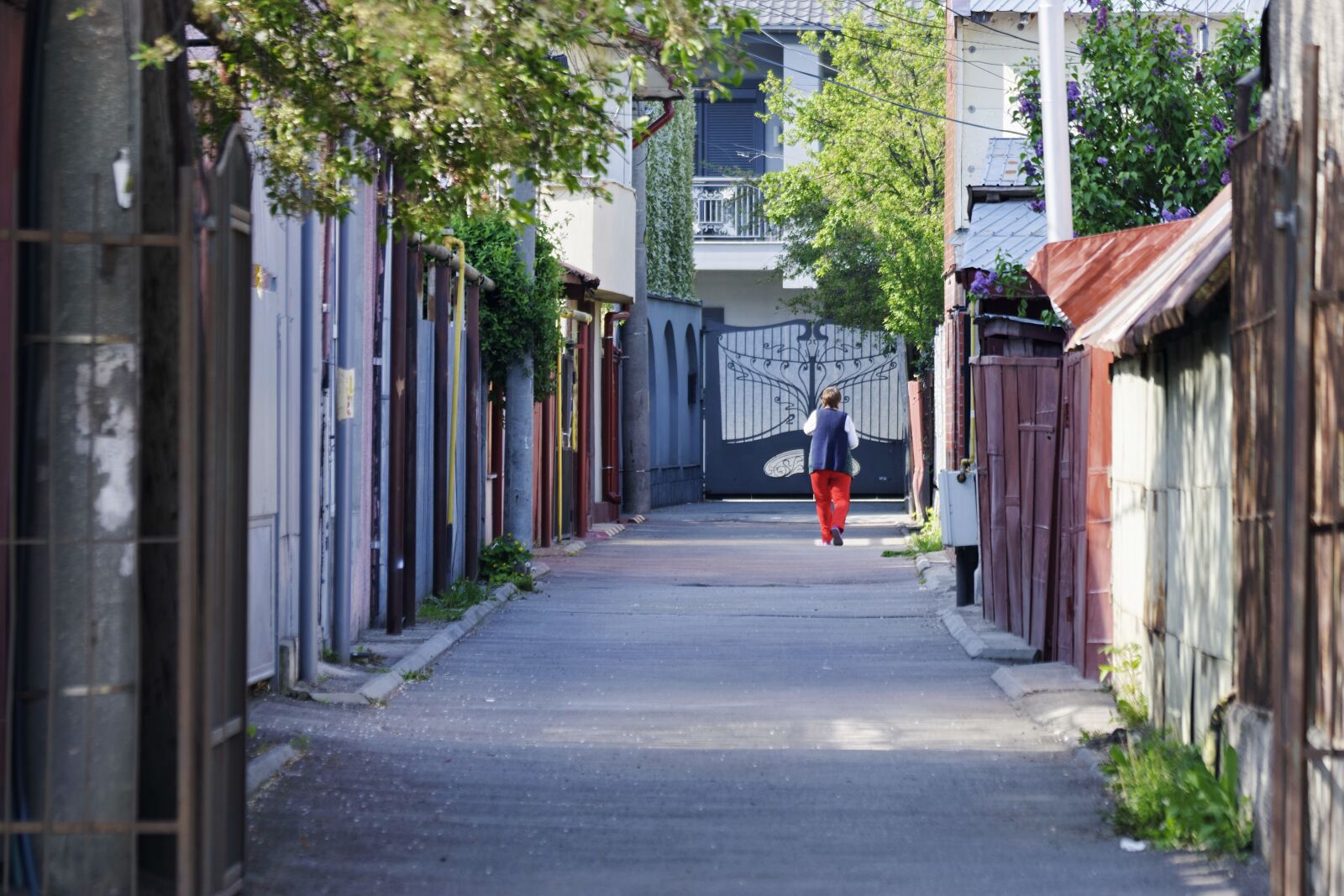Nikon D5300 sample photo. Street, narrow, cul de photography