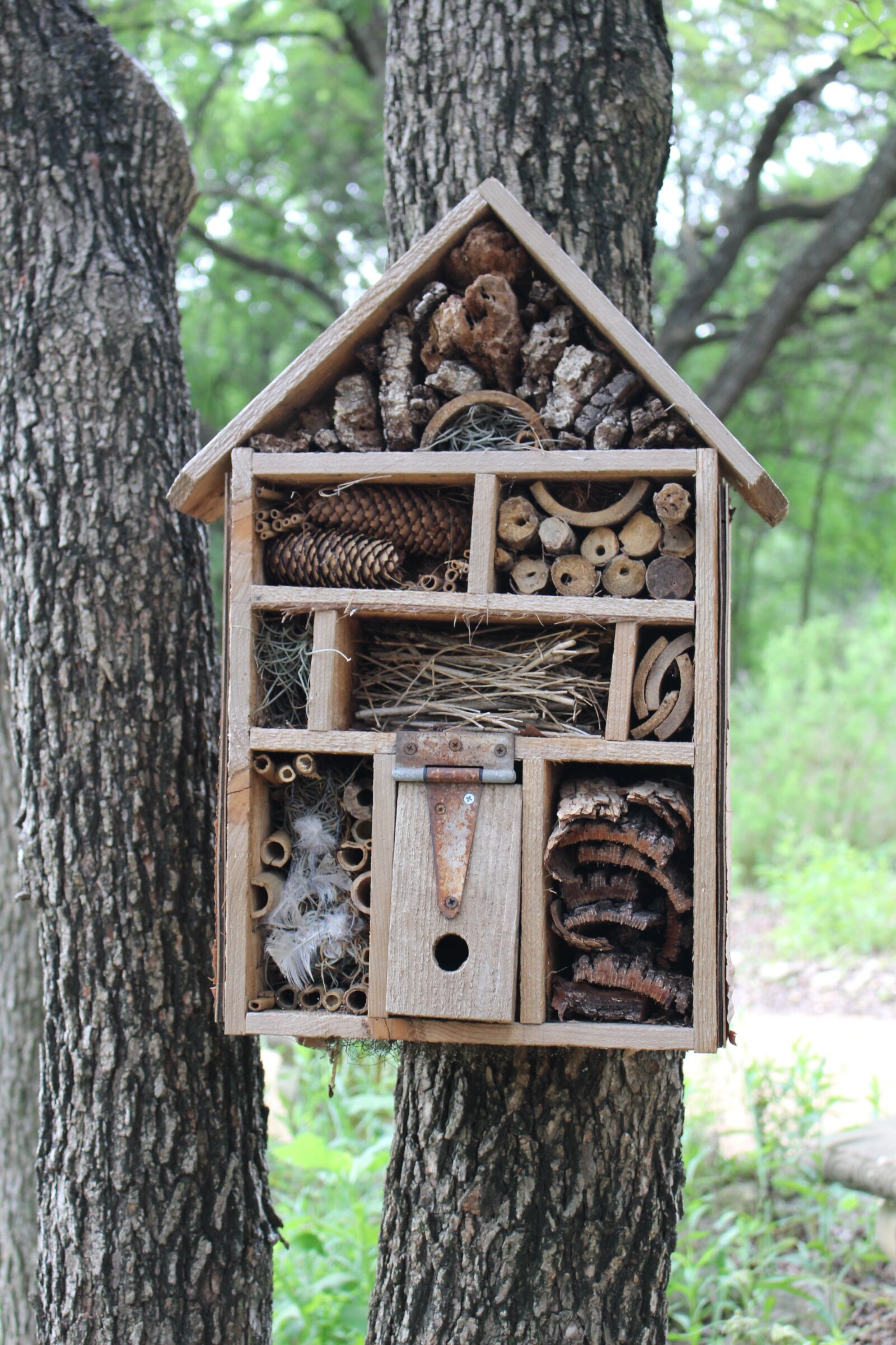 Canon EOS 100D (EOS Rebel SL1 / EOS Kiss X7) + Canon EF-S 18-55mm F3.5-5.6 IS STM sample photo. Bug hotel, bug house photography