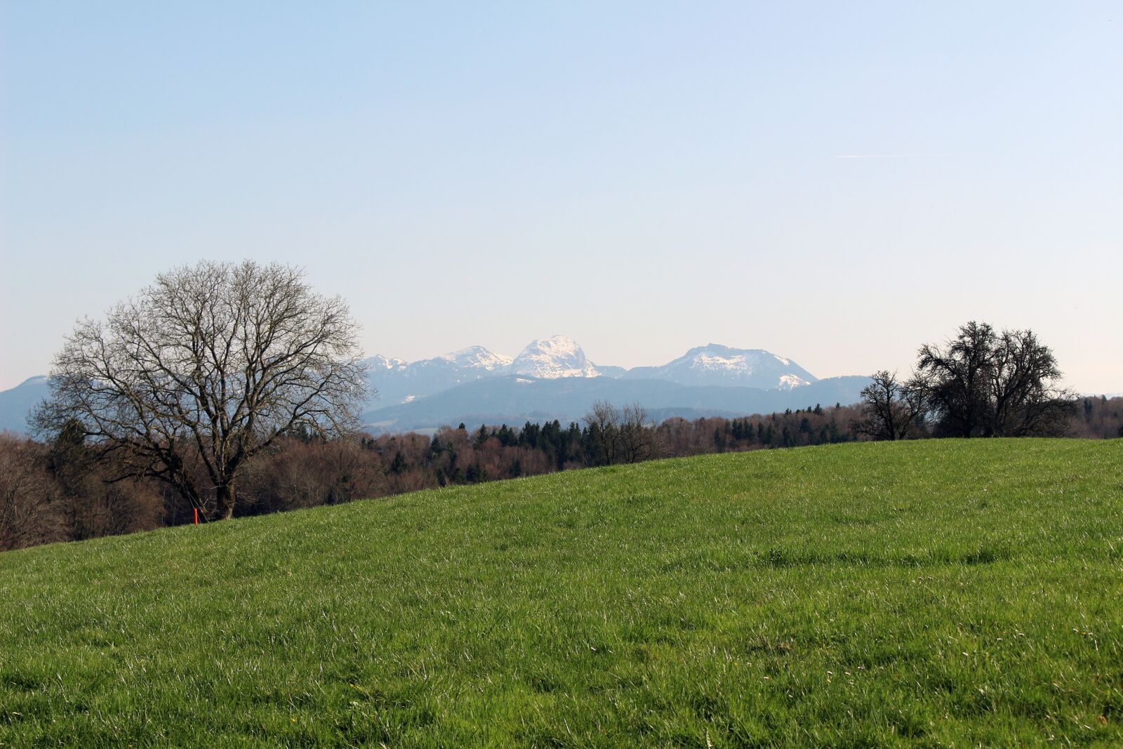 Canon EOS 700D (EOS Rebel T5i / EOS Kiss X7i) sample photo. Landscape, nature, grass photography