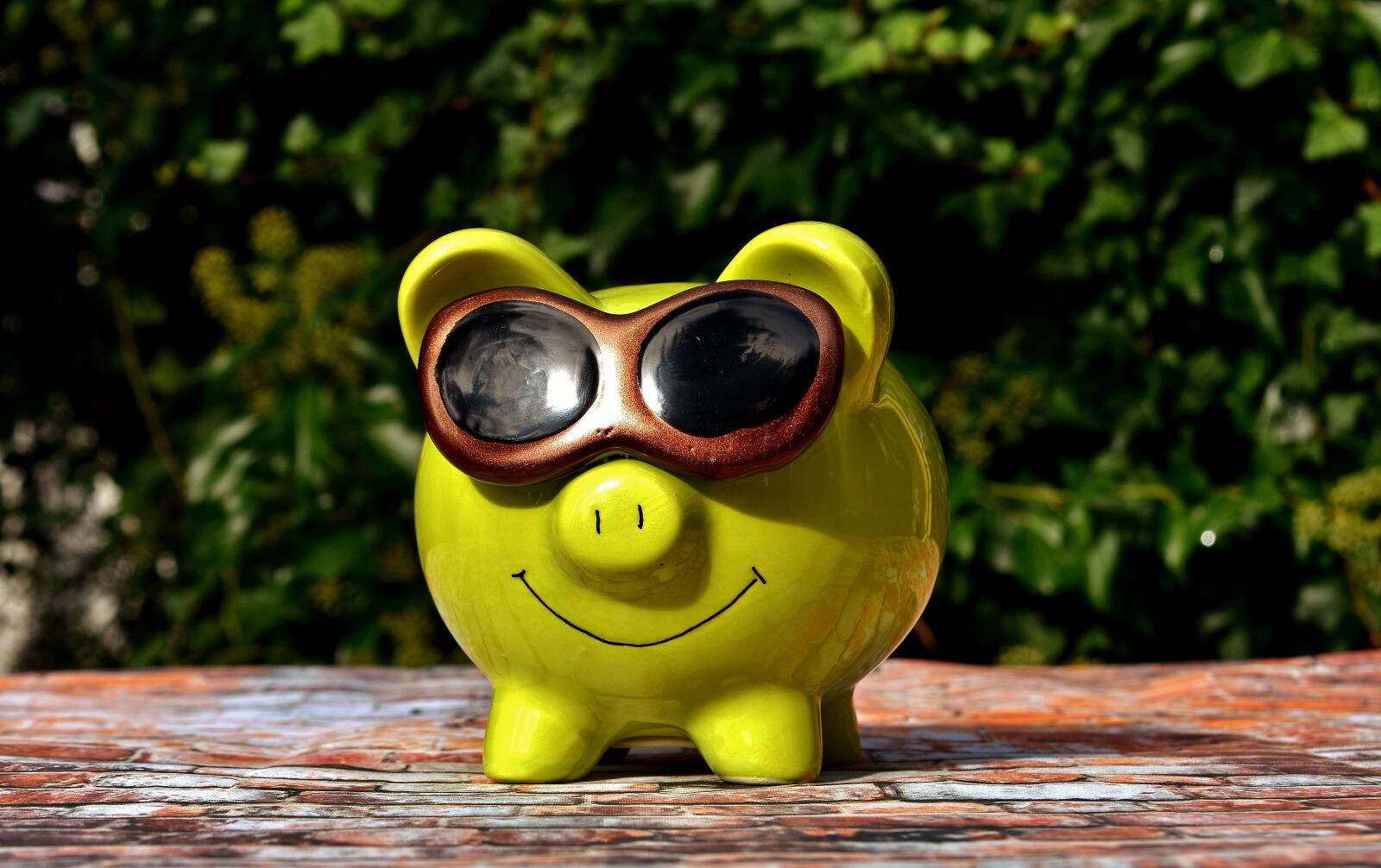 Nikon D7200 sample photo. Lucky pig, cool, sunglasses photography