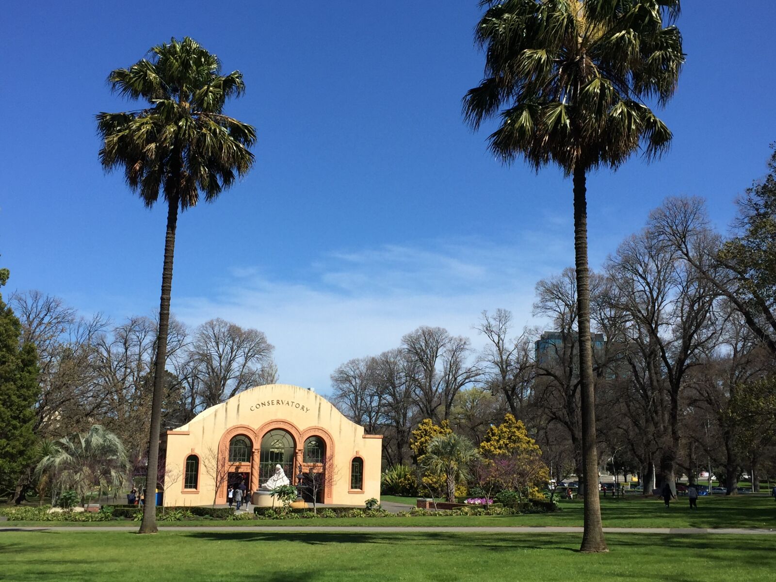 iPhone 6 back camera 4.15mm f/2.2 sample photo. Melbourne, gardens photography