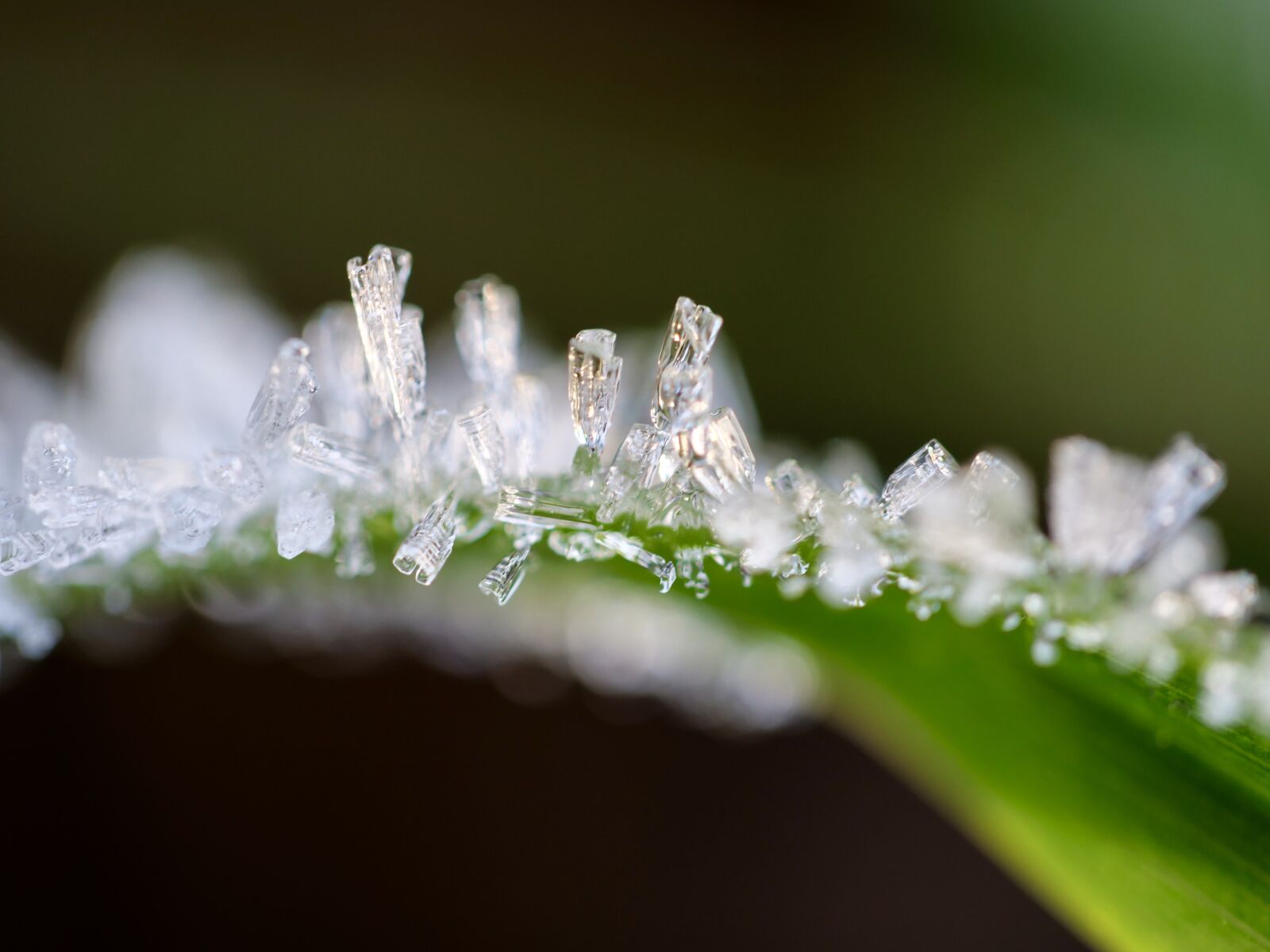 Panasonic Lumix DC-G9 sample photo. Ice, crystal, winter photography