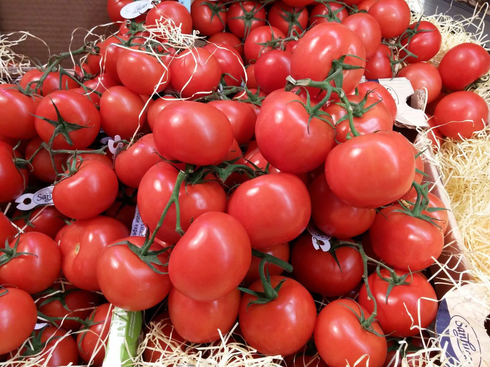 LG D855 sample photo. Tomatoes, vegetables, italian photography