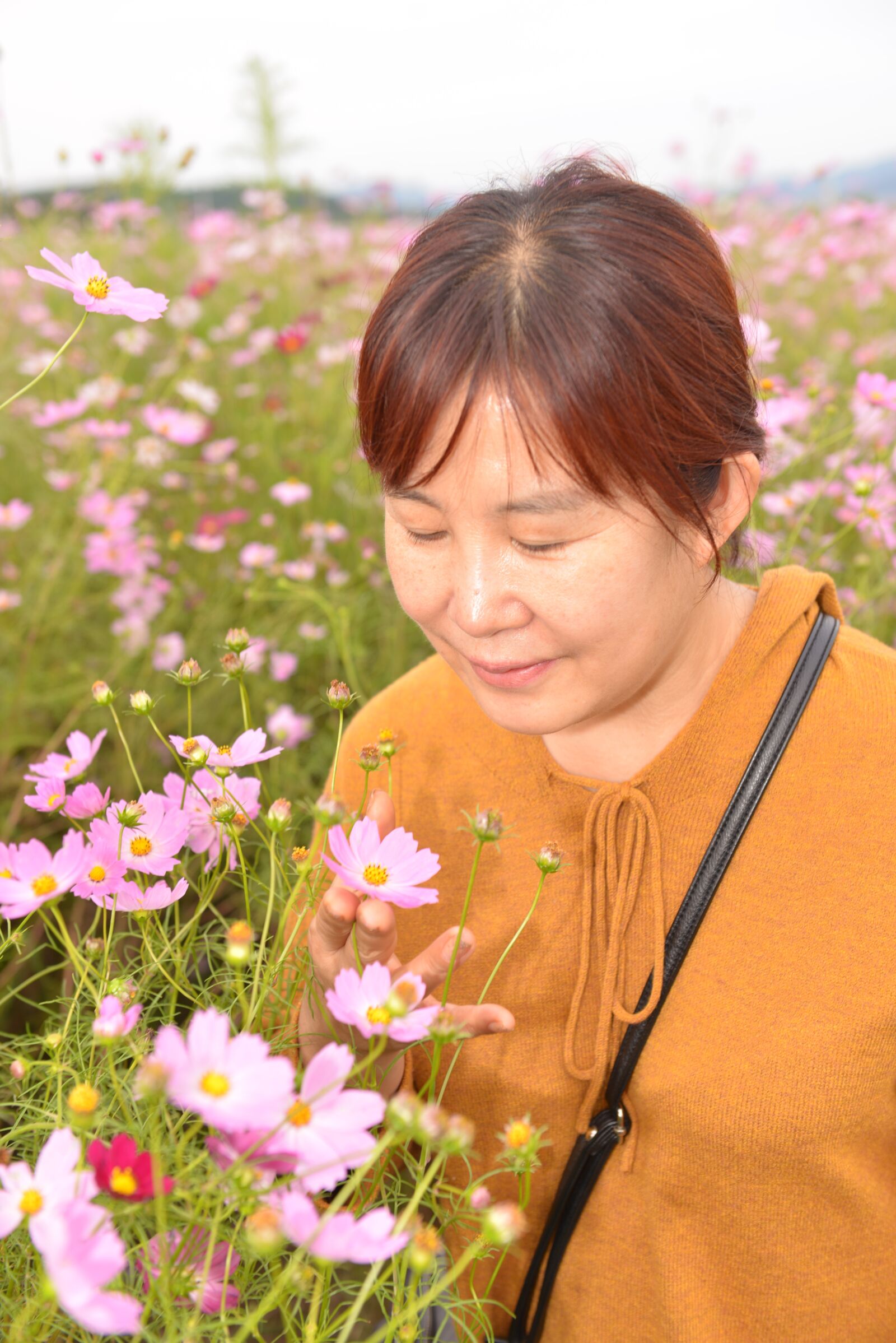 Nikon D600 sample photo. Autumn, in autumn, wallpapers photography