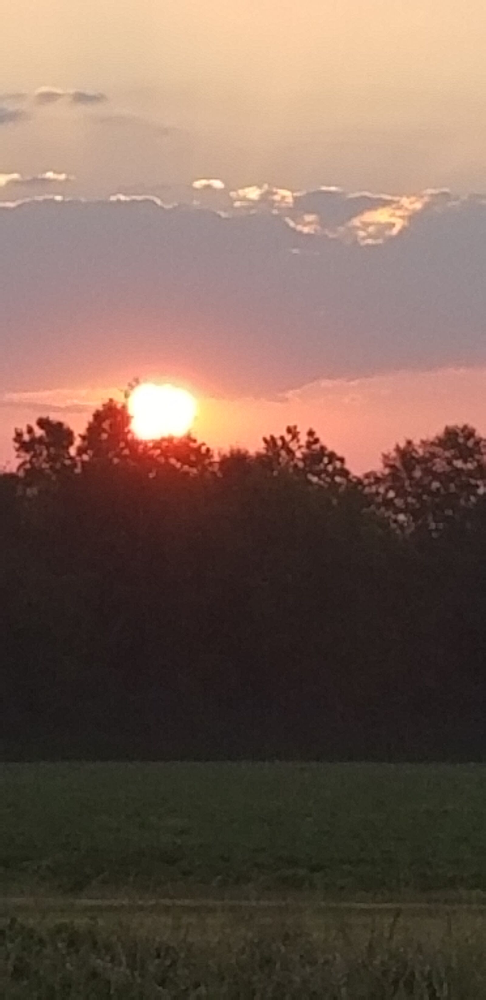 Samsung Galaxy S8+ sample photo. Morning, sun, sunrise photography