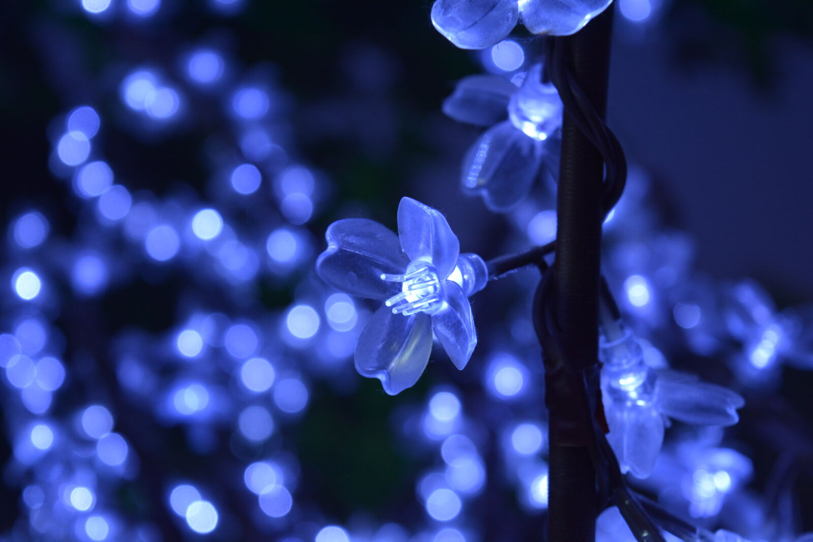 Nikon D5200 sample photo. Blue, chain, of, light photography