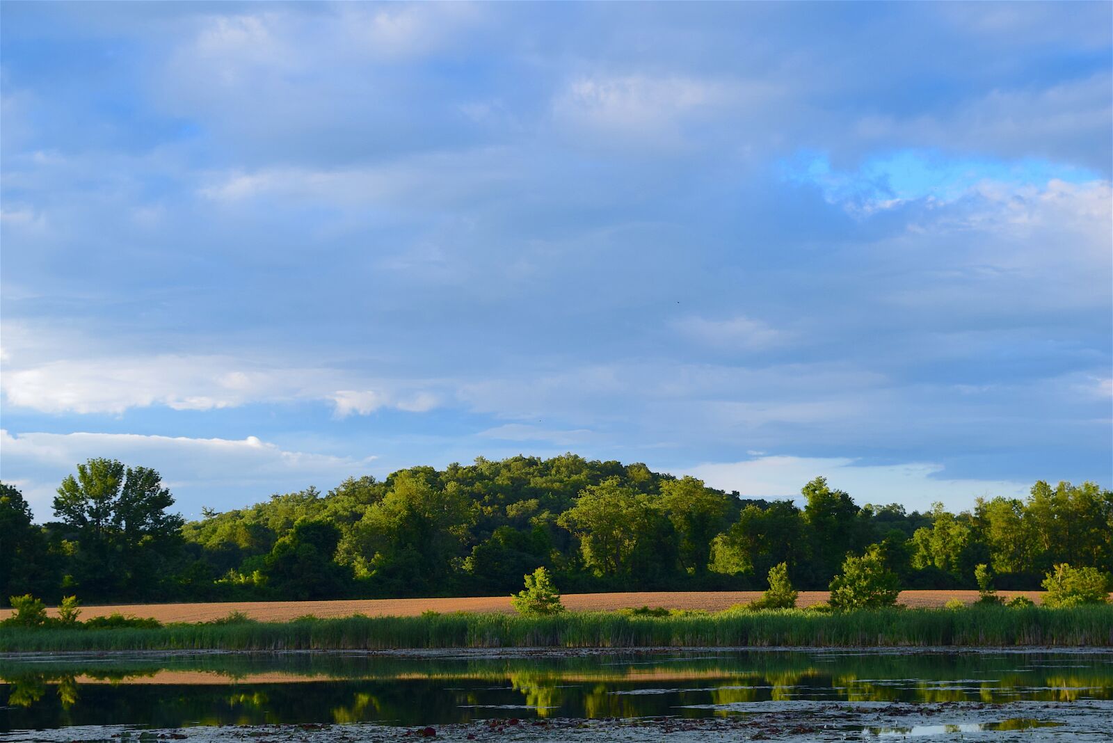 Nikon D3300 sample photo. Lake, park, trees photography