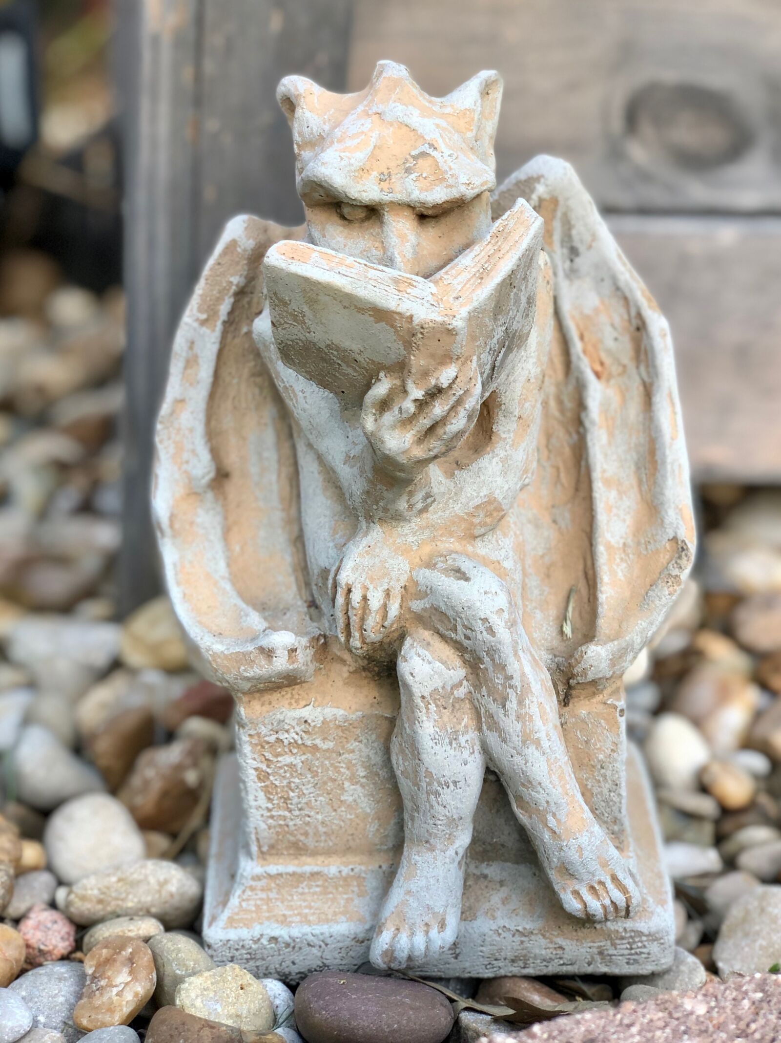 iPhone X back dual camera 6mm f/2.4 sample photo. Gargoyle, statue, gothic photography