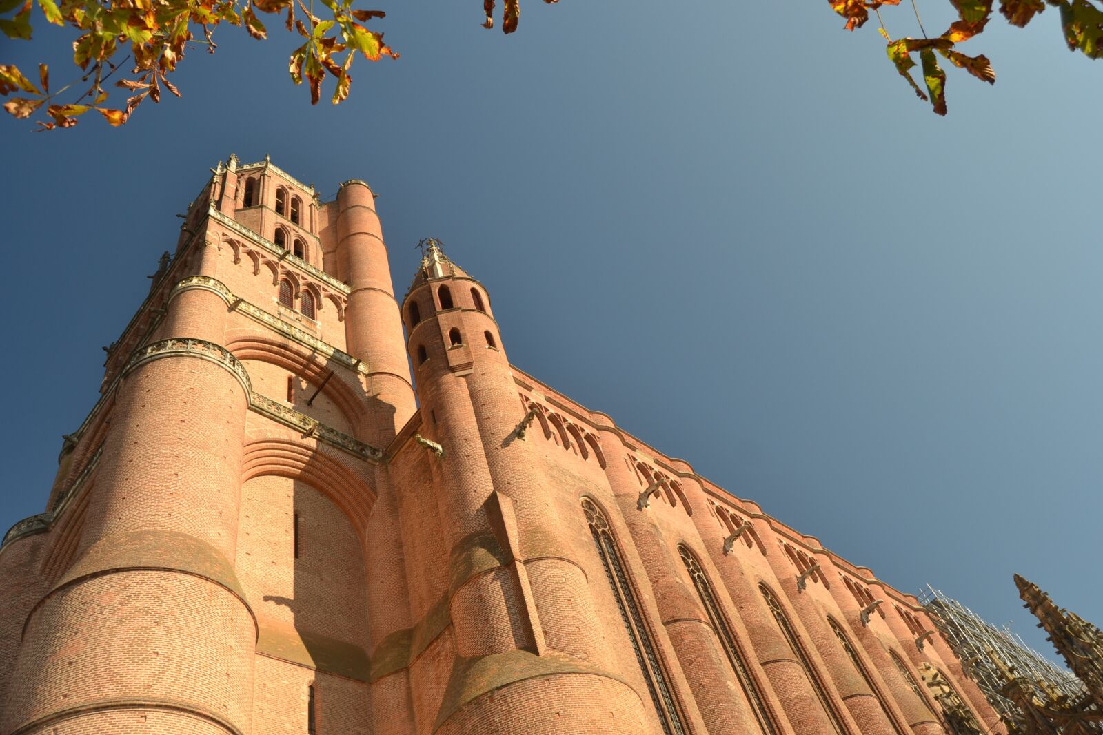 Nikon D3100 sample photo. Albi, france, cathedral photography