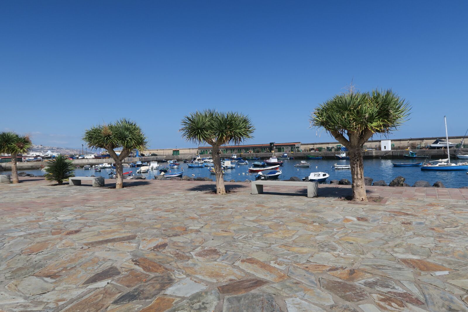 Canon PowerShot G7 X sample photo. Port, skewness, spain photography
