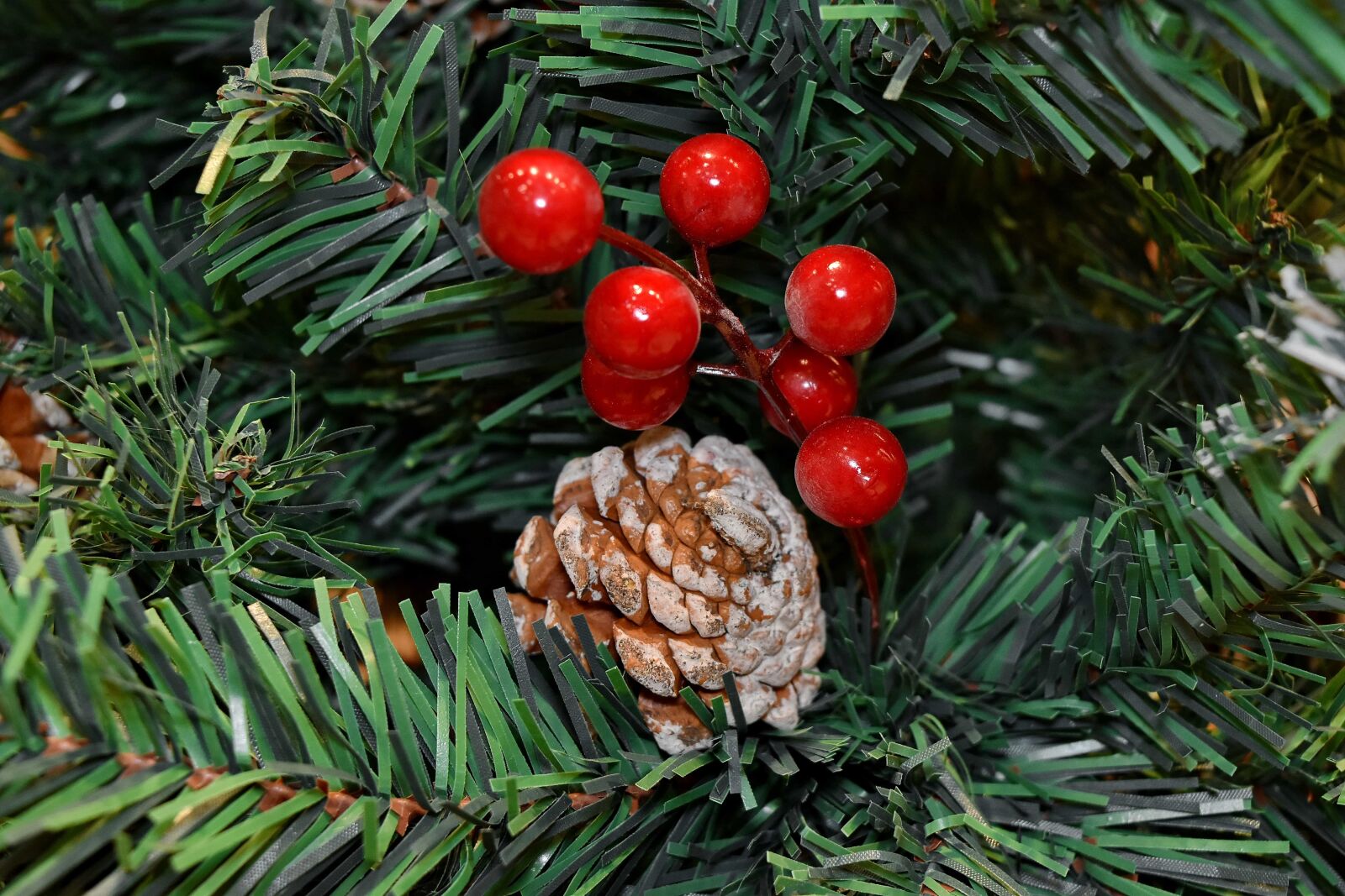 Nikon D5500 sample photo. Branches, christian, christmas, christmas photography