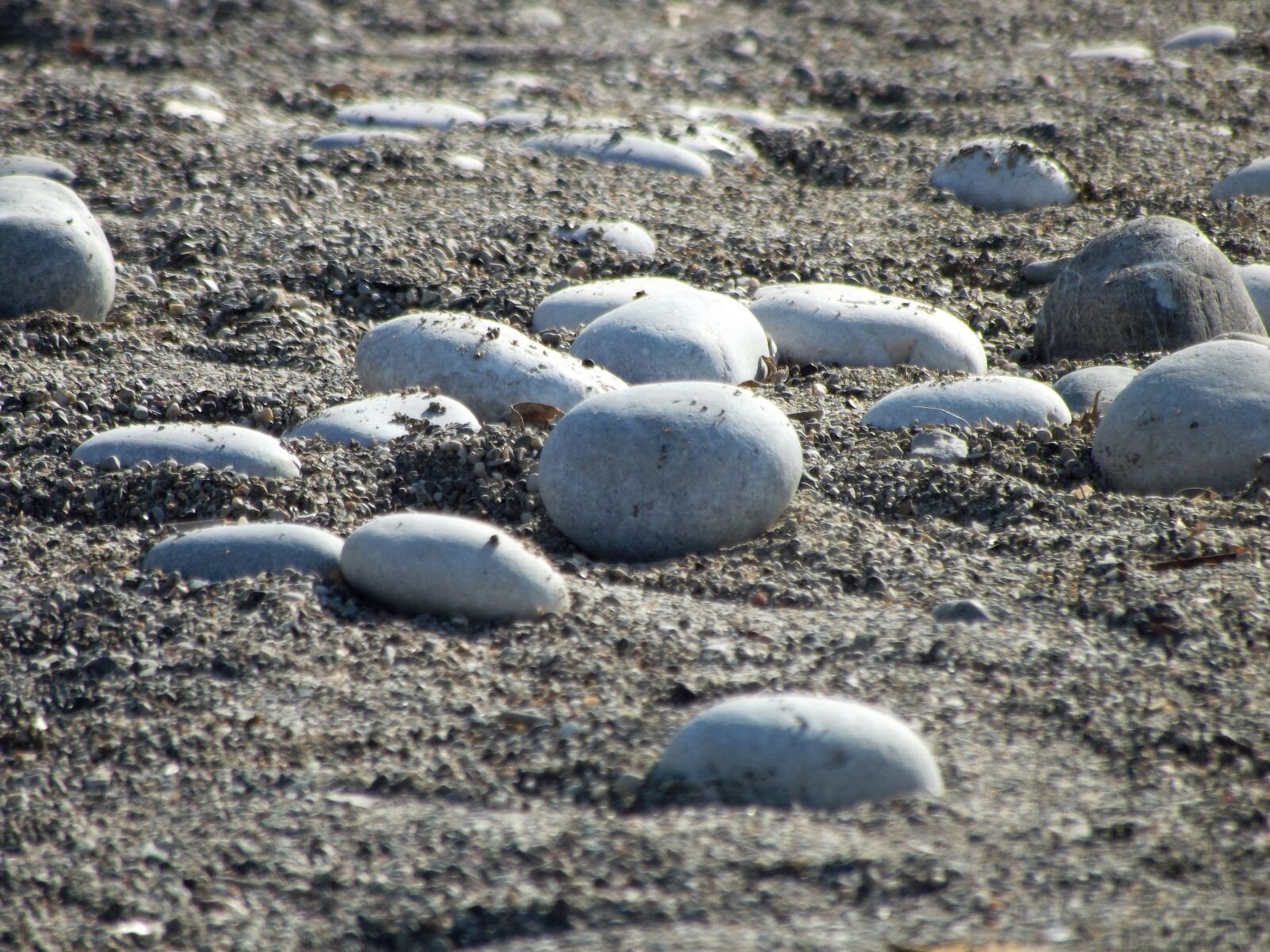 Fujifilm FinePix S2980 sample photo. Stones, beach, sand photography