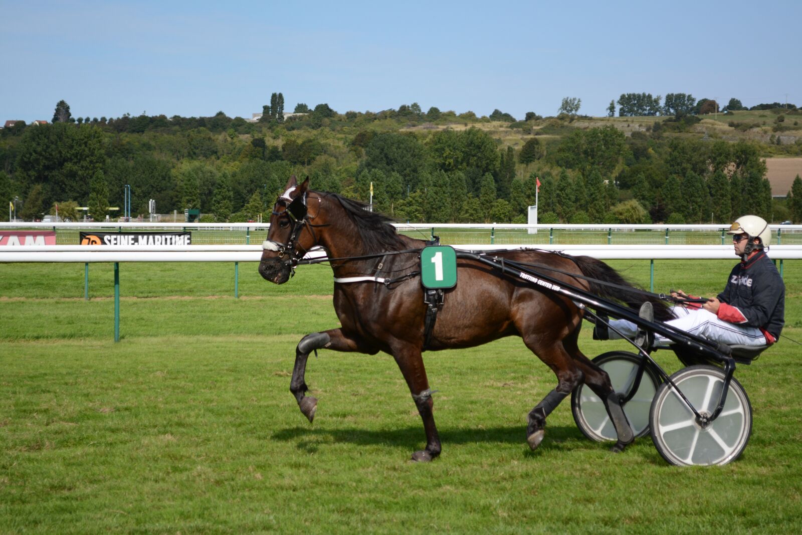 Nikon D5200 sample photo. Horse, racing, jockeys photography