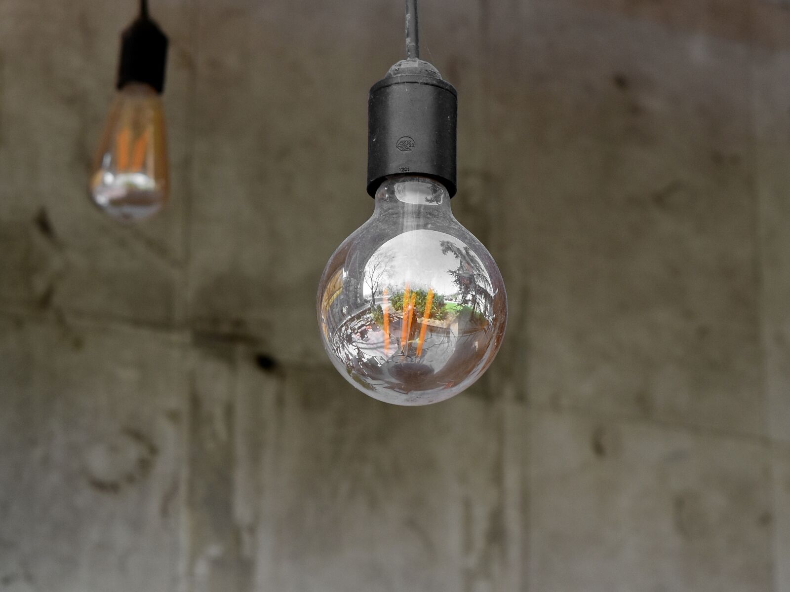 Nikon D5500 sample photo. Decoration, light bulb, bulb photography