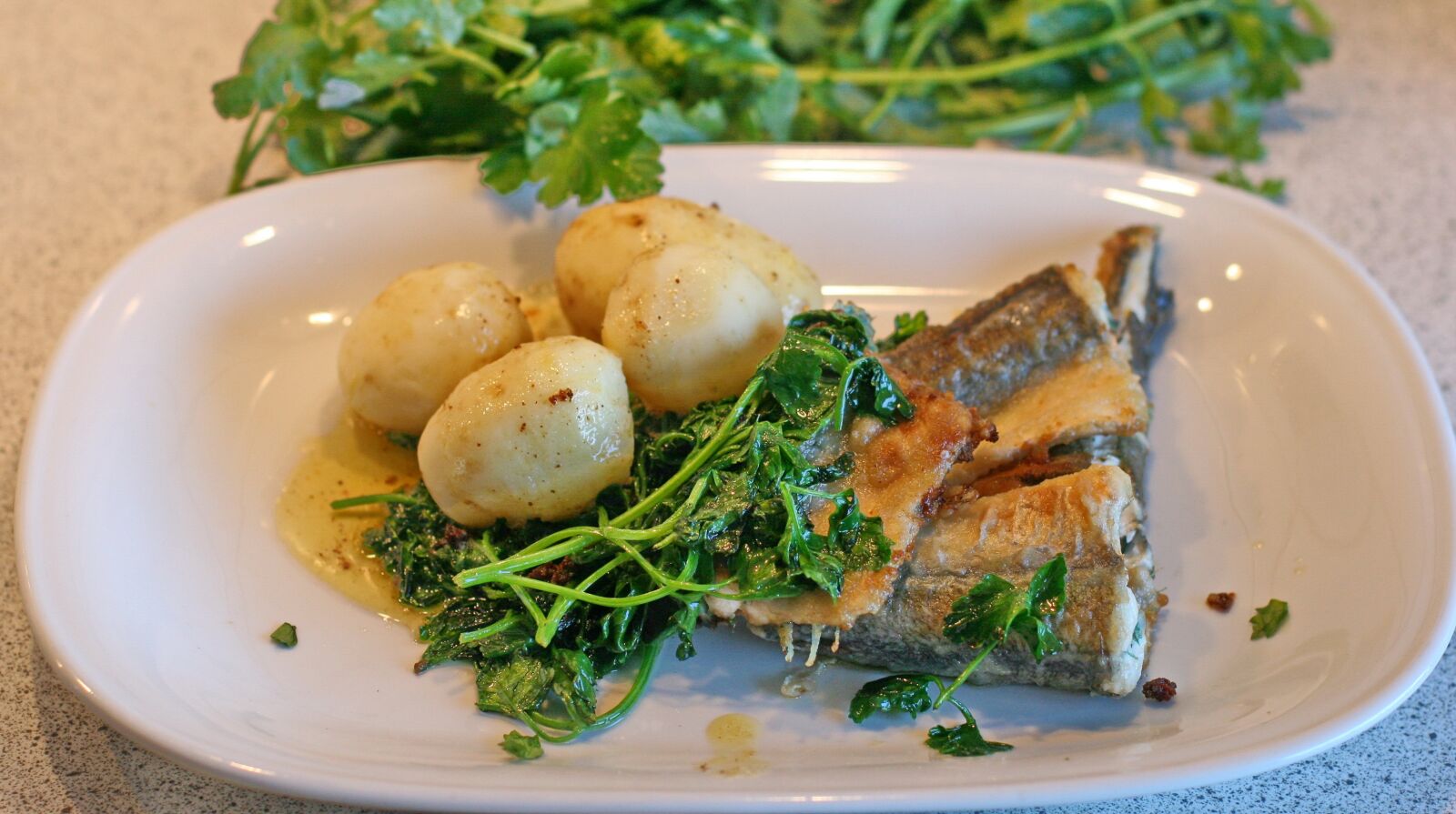 Canon EOS 20D sample photo. Fish, garfish, spinach photography