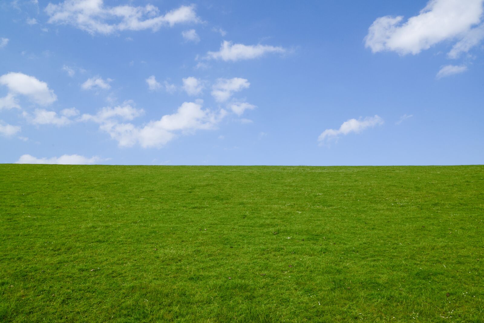 Nikon D610 sample photo. Green, dyke, blue photography