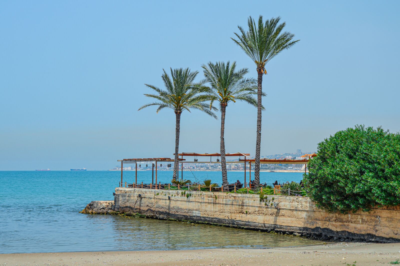 Nikon D3200 sample photo. Palm trees, beach, paradise photography
