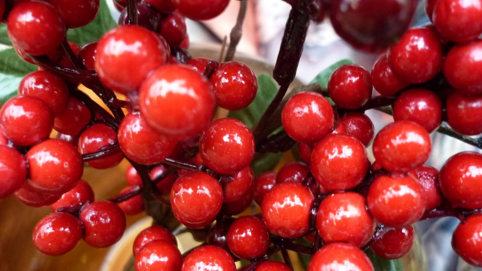 Panasonic Lumix DMC-FS6 sample photo. Berry, red, bush photography