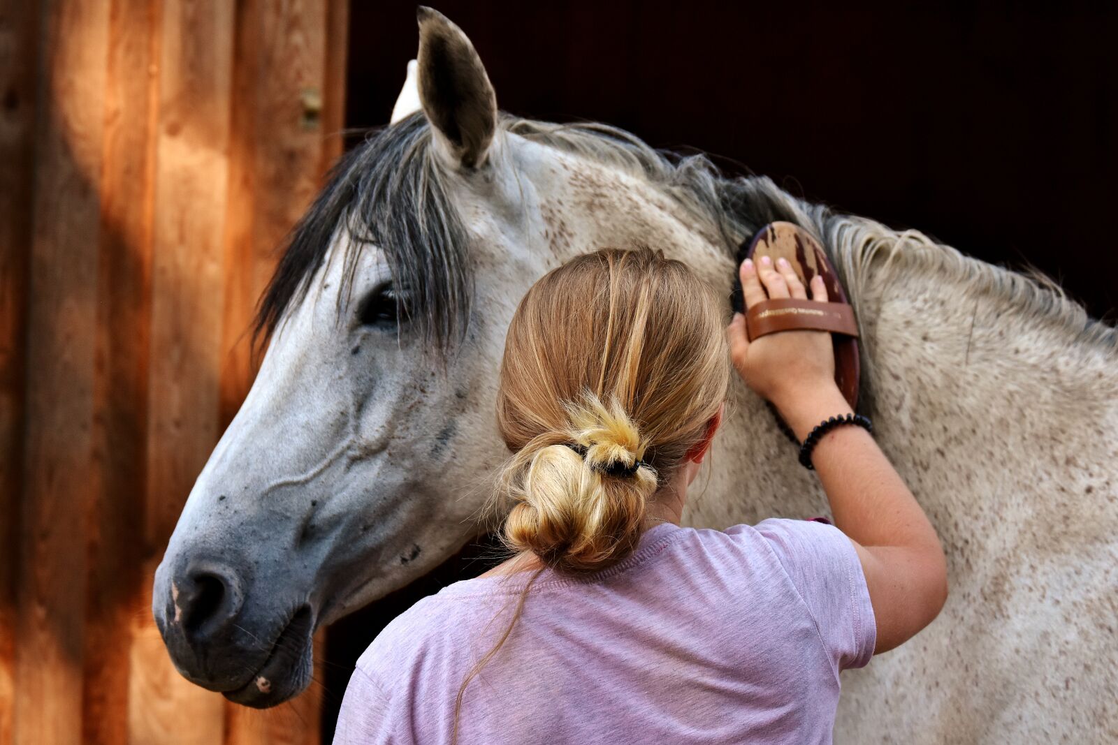 Nikon D7200 sample photo. Horse love, horse, clean photography