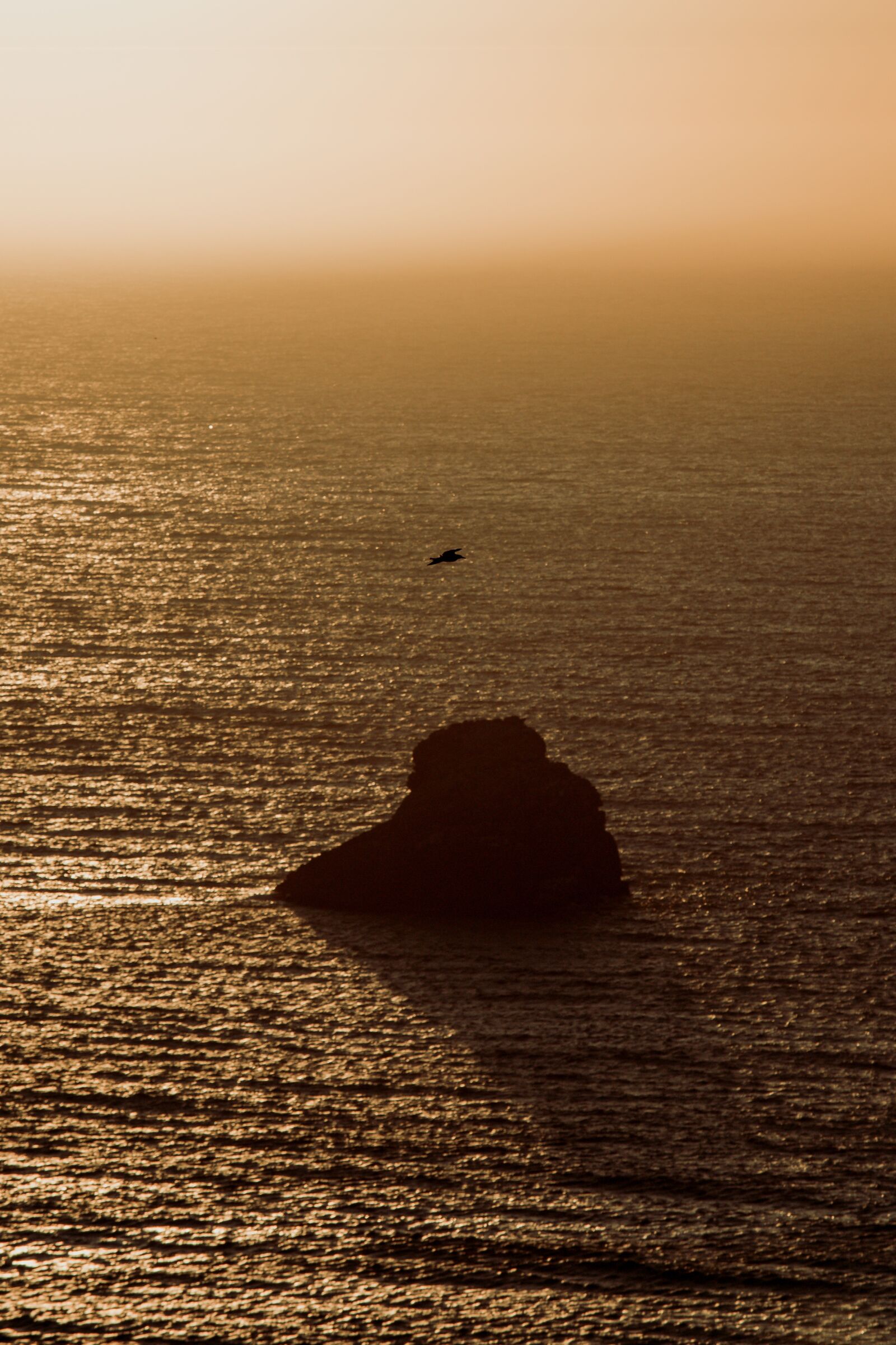 Canon EOS 6D + Canon EF 70-200mm F4L IS USM sample photo. Horizon, rock, seagull photography