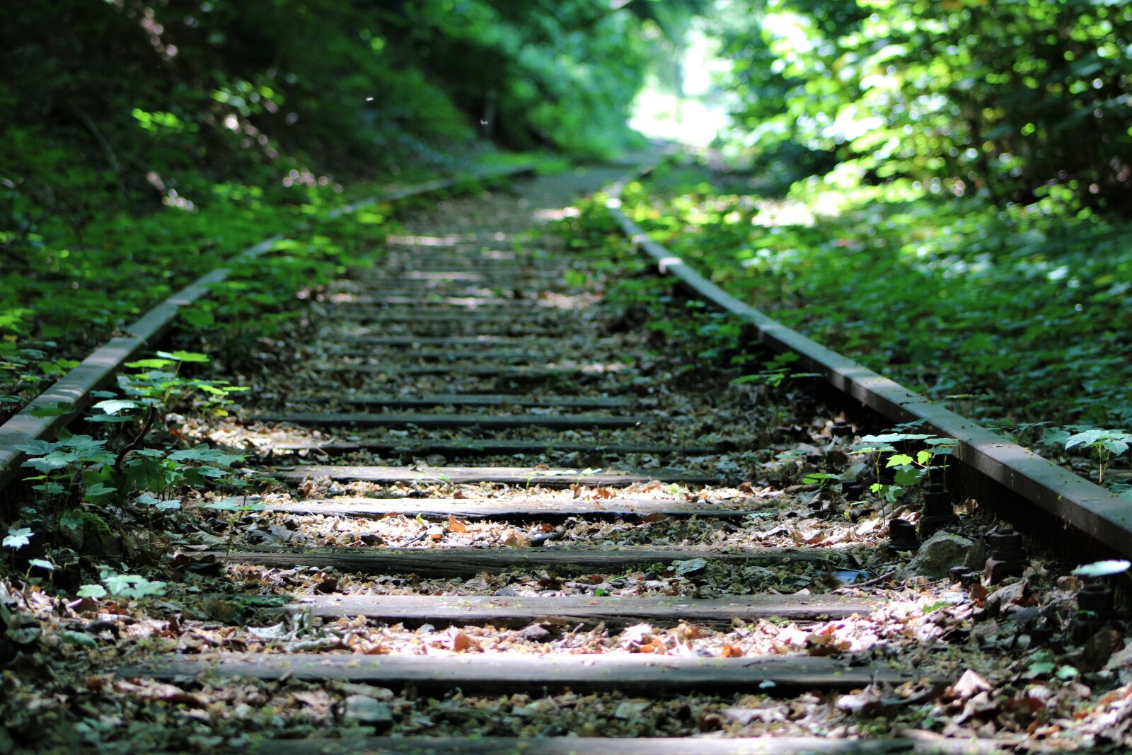 Canon EF75-300mm f/4-5.6 sample photo. Old, railway, rails photography
