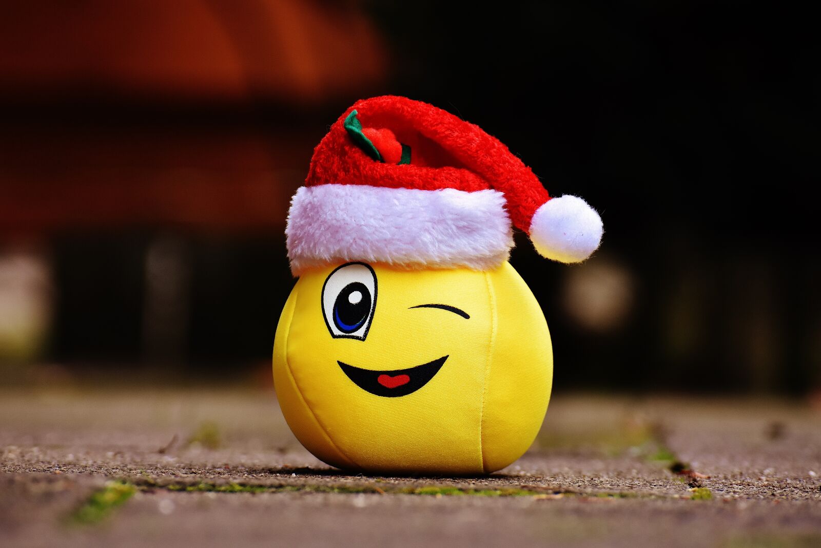 Nikon D7200 sample photo. Christmas, smiley, funny photography