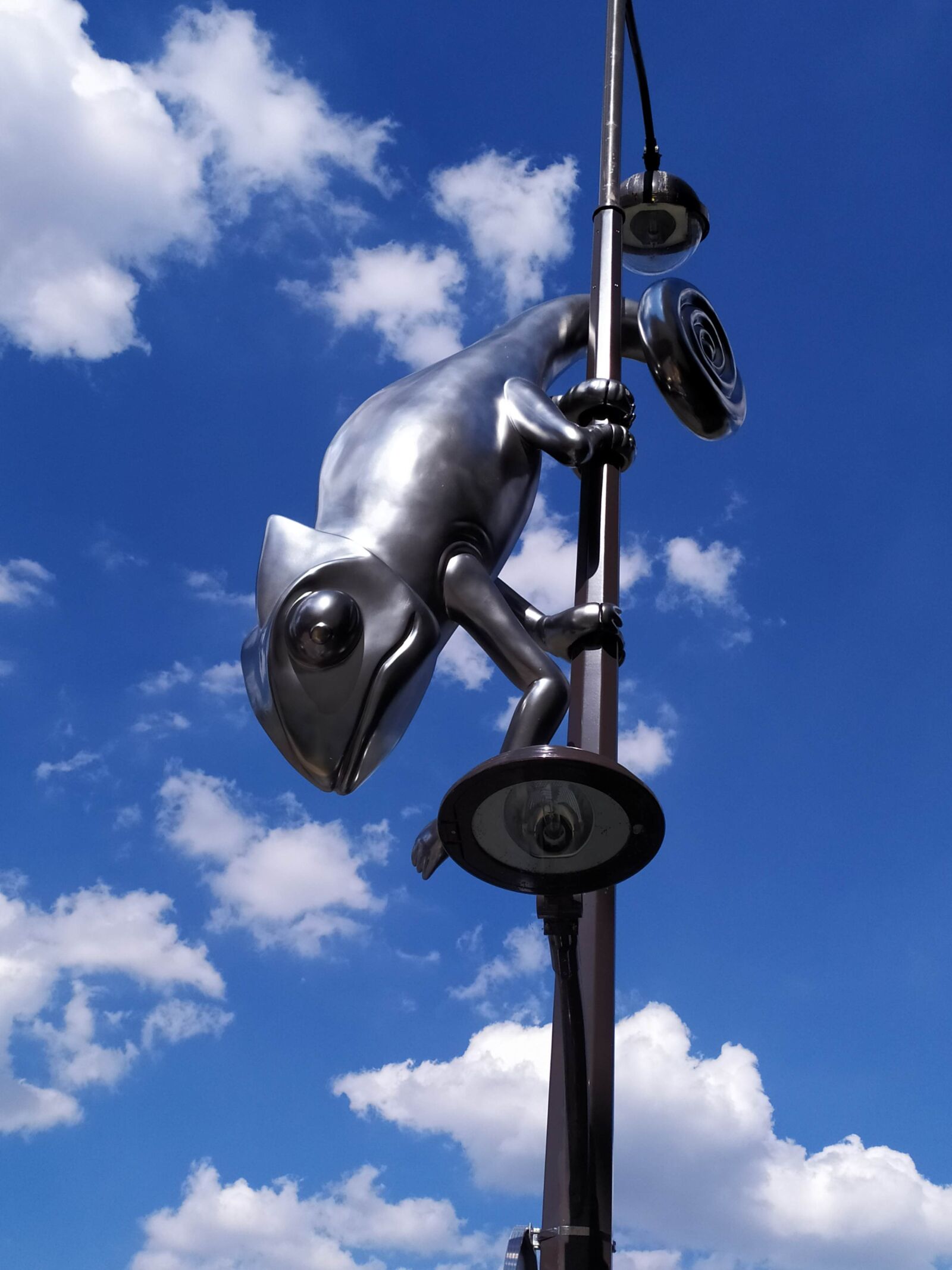 Xiaomi Redmi Note 7 sample photo. Frog, art, street photography