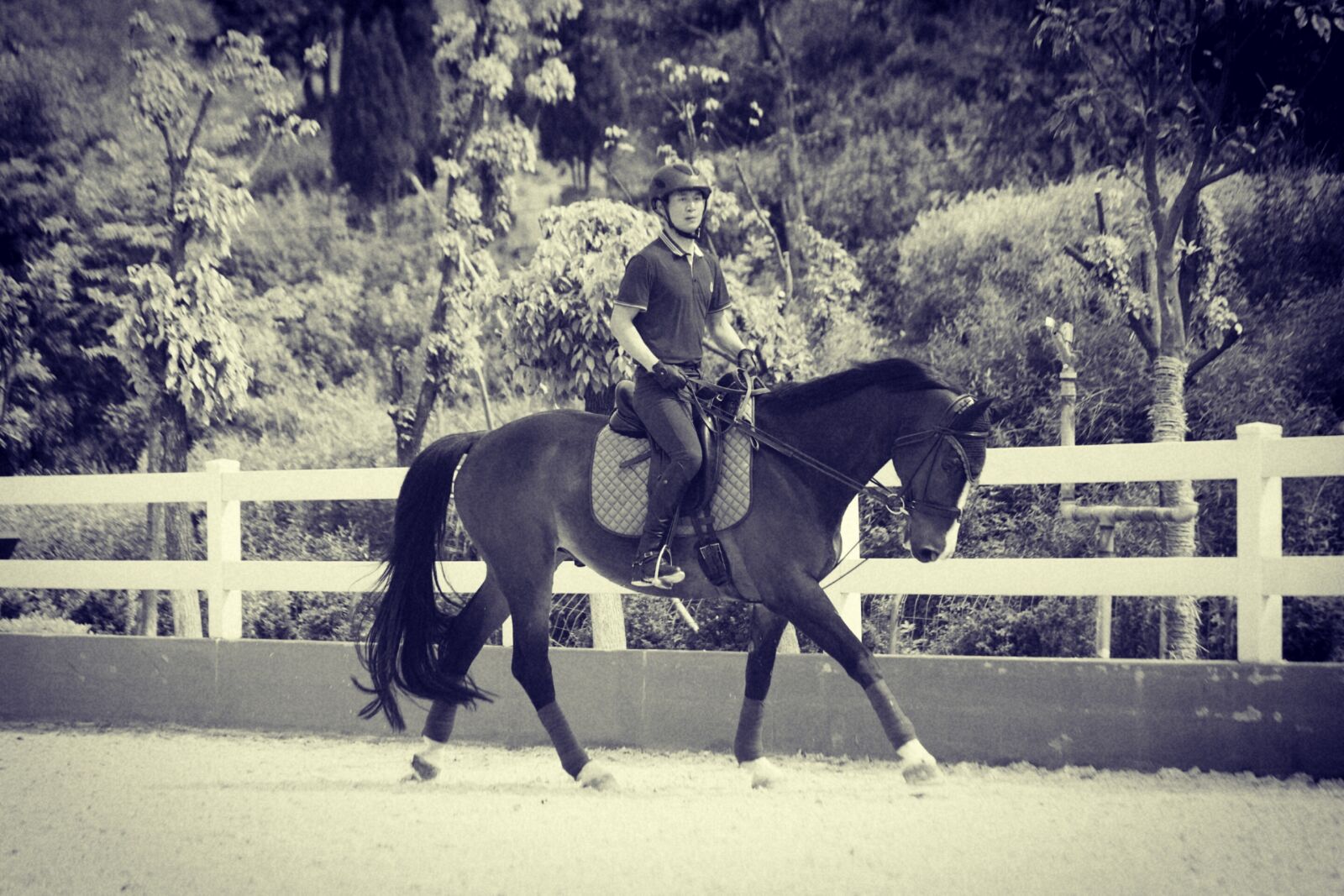 Canon EF 70-300mm F4-5.6 IS USM sample photo. Horse, riding, equestrian photography