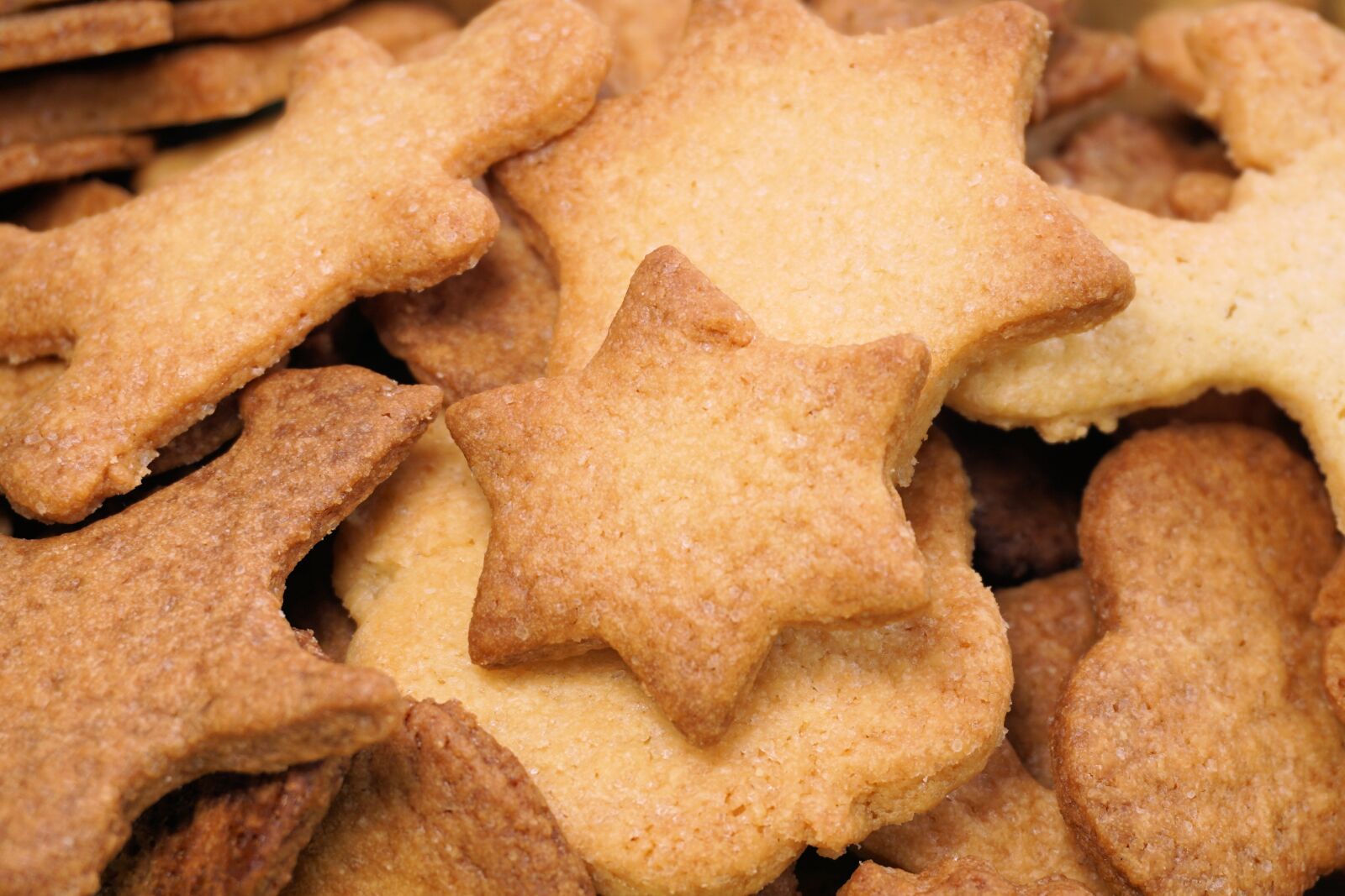 Sony a6000 sample photo. Cookie, christmas, sweet photography