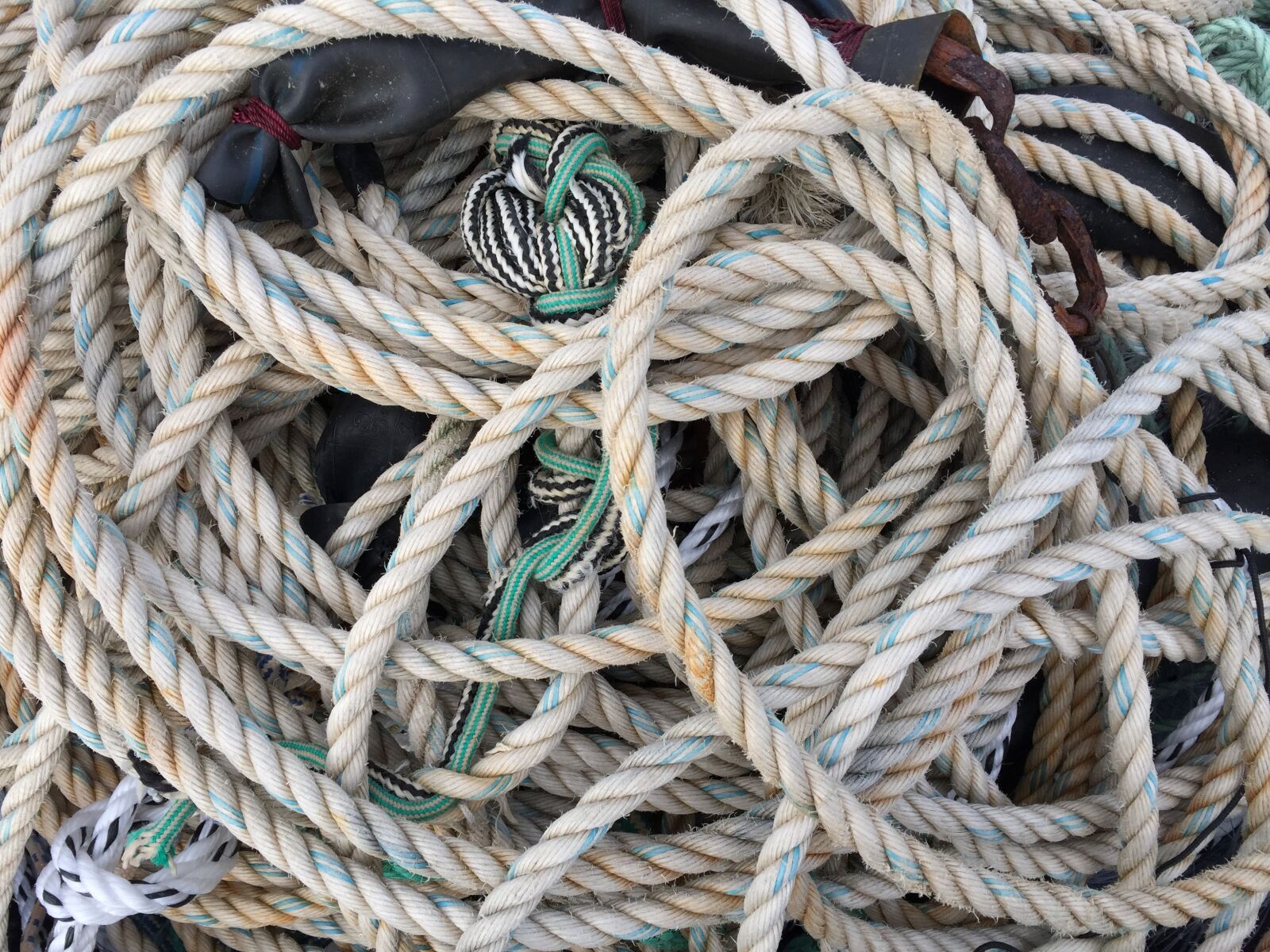 Apple iPhone 6 sample photo. Ropes, confusion, dew photography