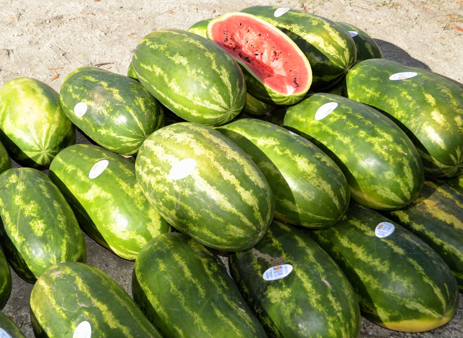 Nikon D7000 sample photo. Water melon, for sale photography